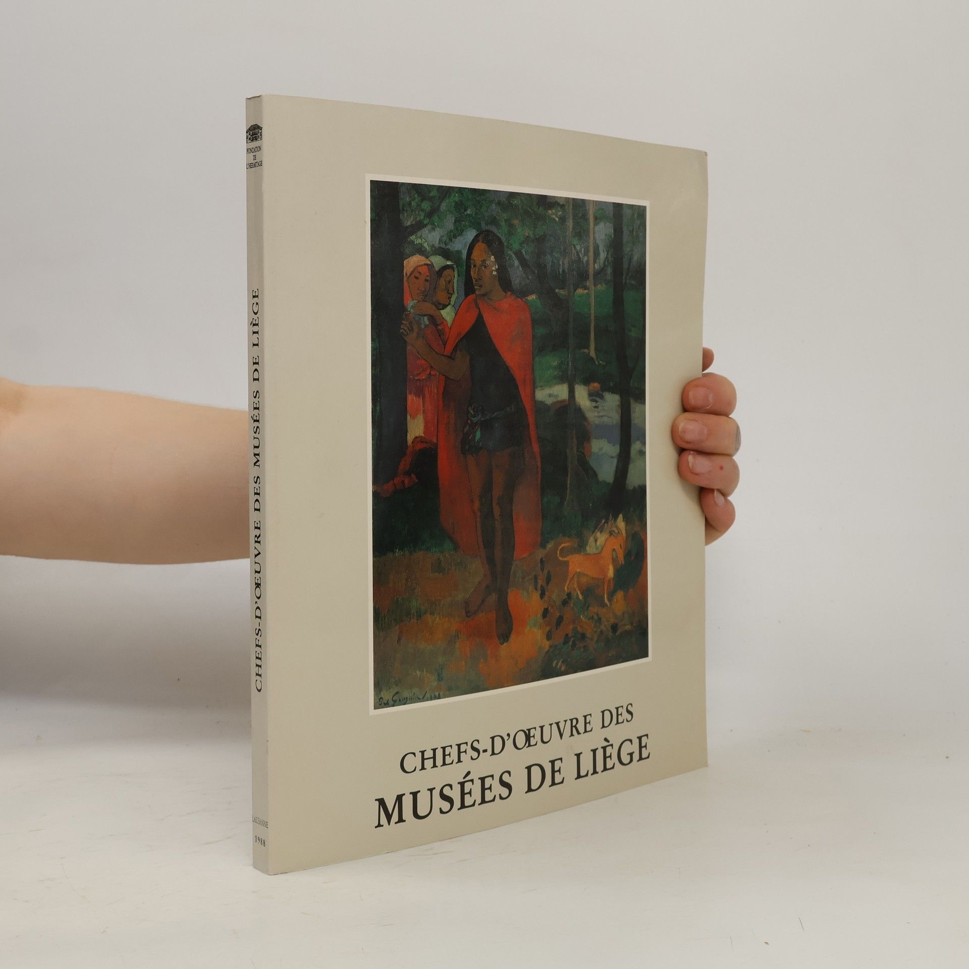 Roger Dehaybe Chefs-d'oeuvre Des Musees De Liege