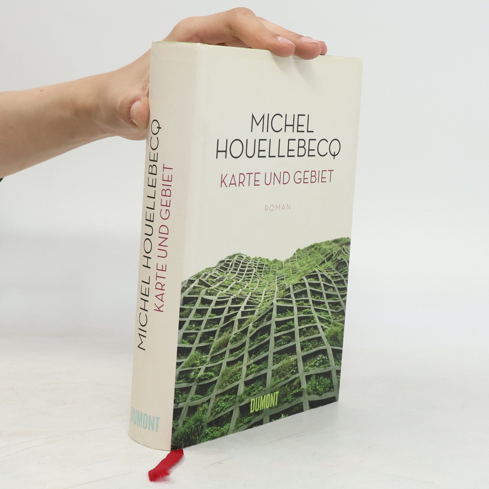 Michel Houellebecq Karte und Gebiet
