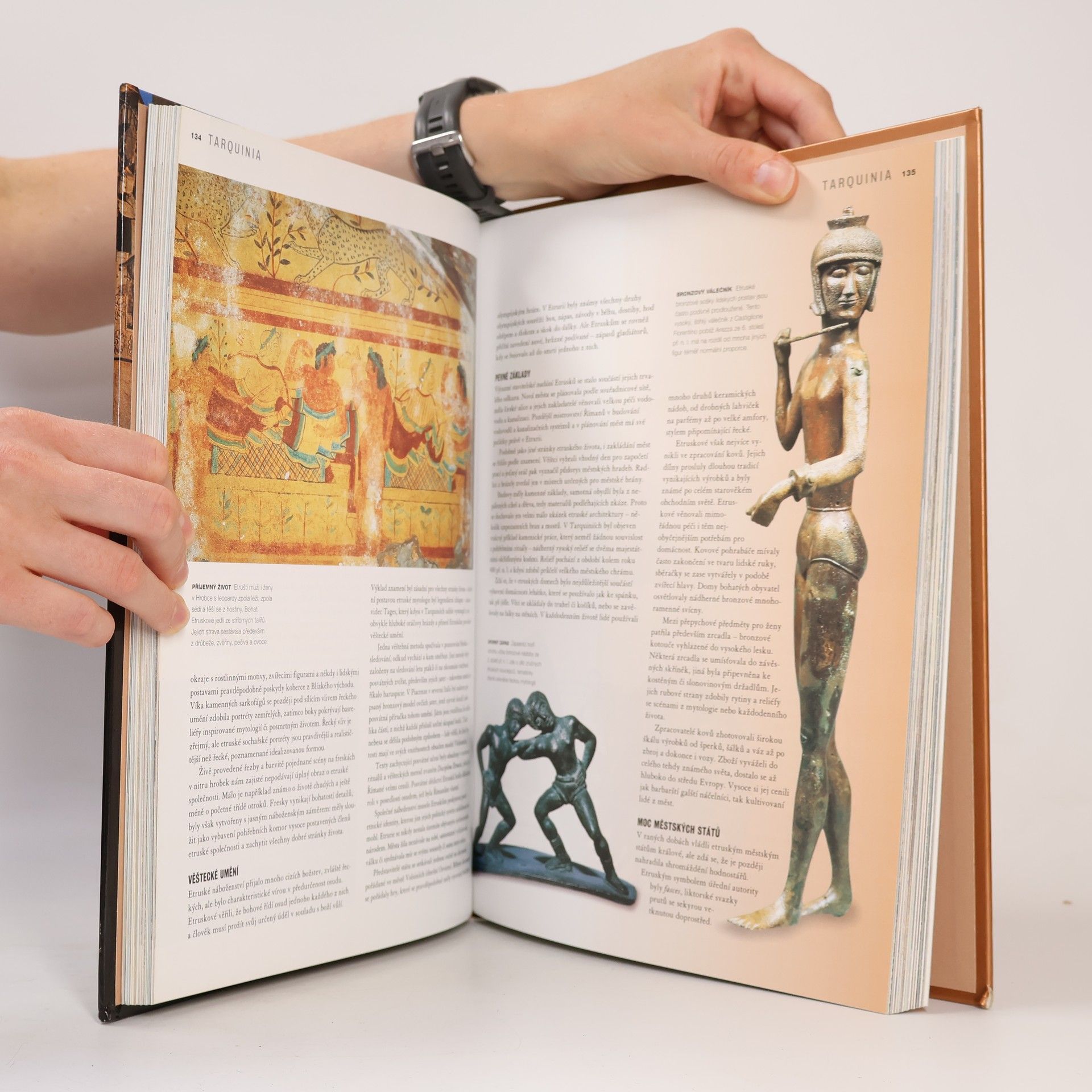 Collectif d'auteurs Zaniklé civilizace
