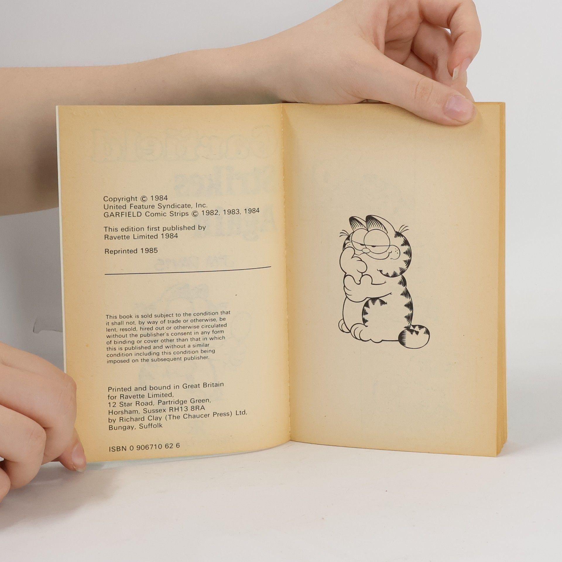 AA.VV. Garfield Strikes Again (Garfield Pocket Books)