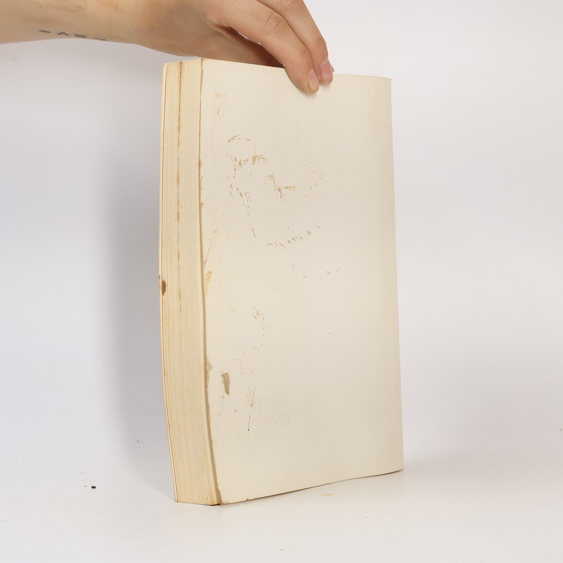 AA.VV. Weißbuch 1979