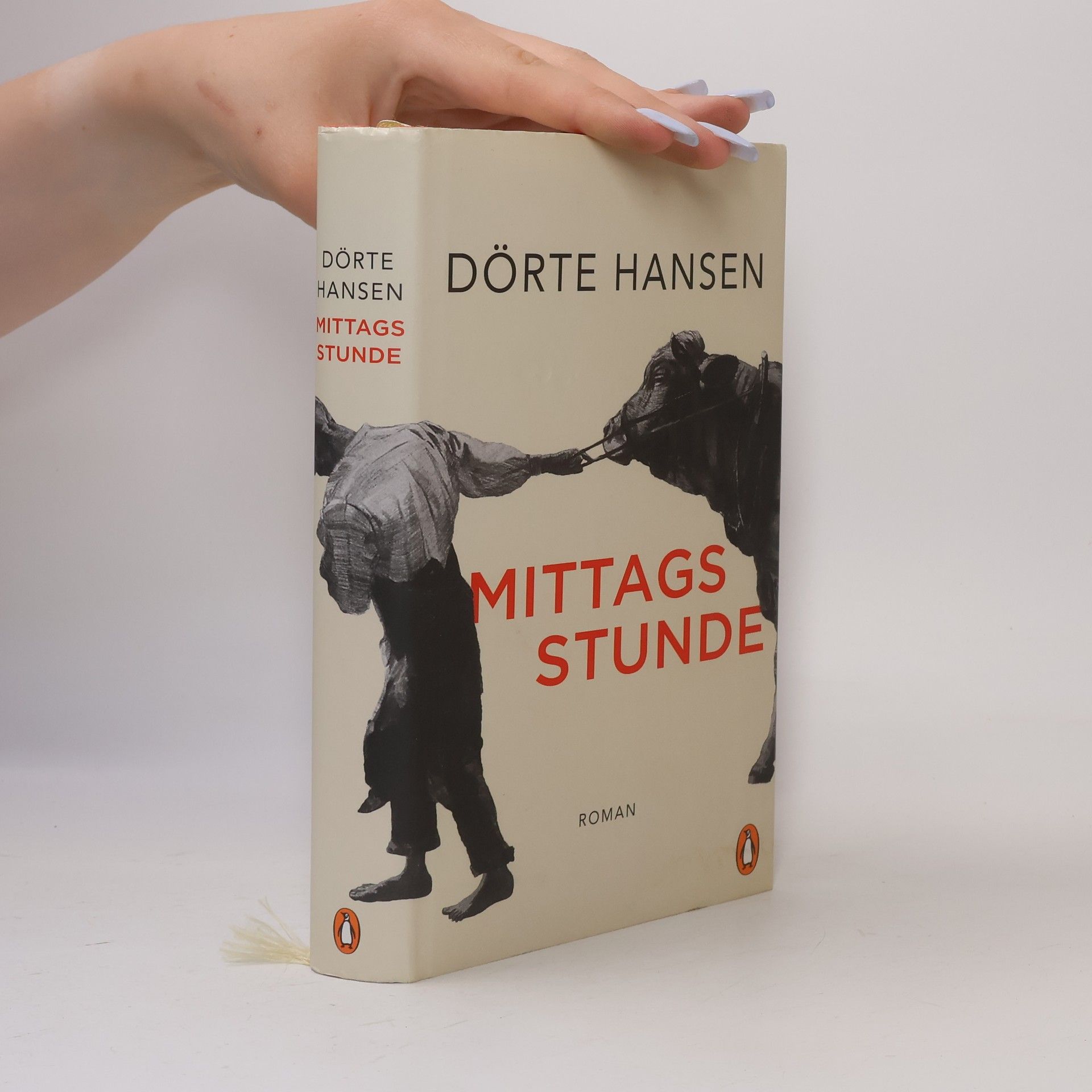 Dörte Hansen Mittagsstunde