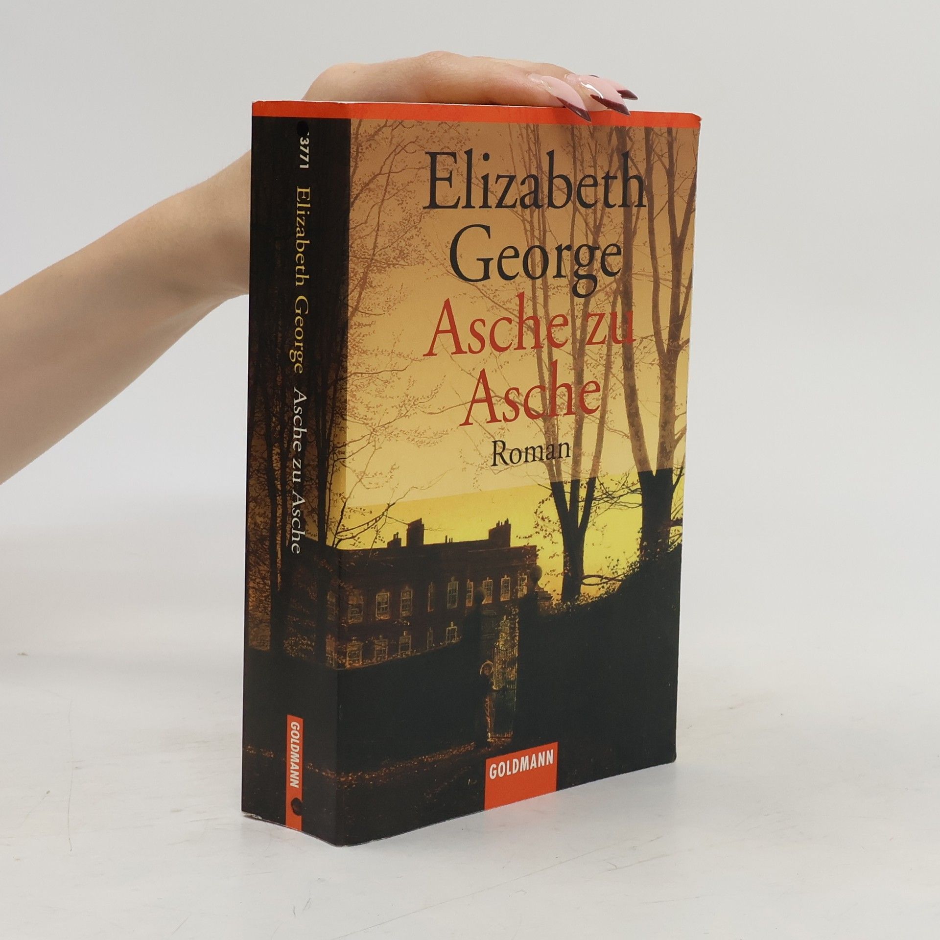 Elizabeth George Asche zu Asche