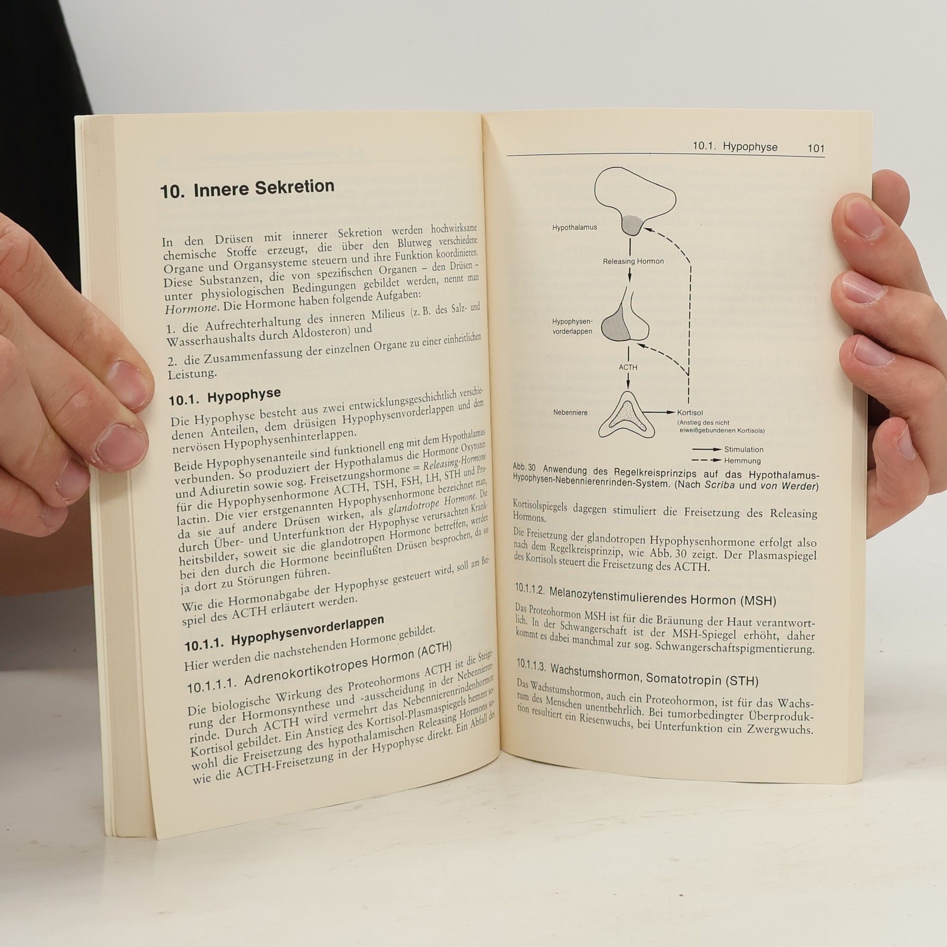 Klaus Eduard Stephan Physiologie für MTA - 2. überarbeitete Auflage