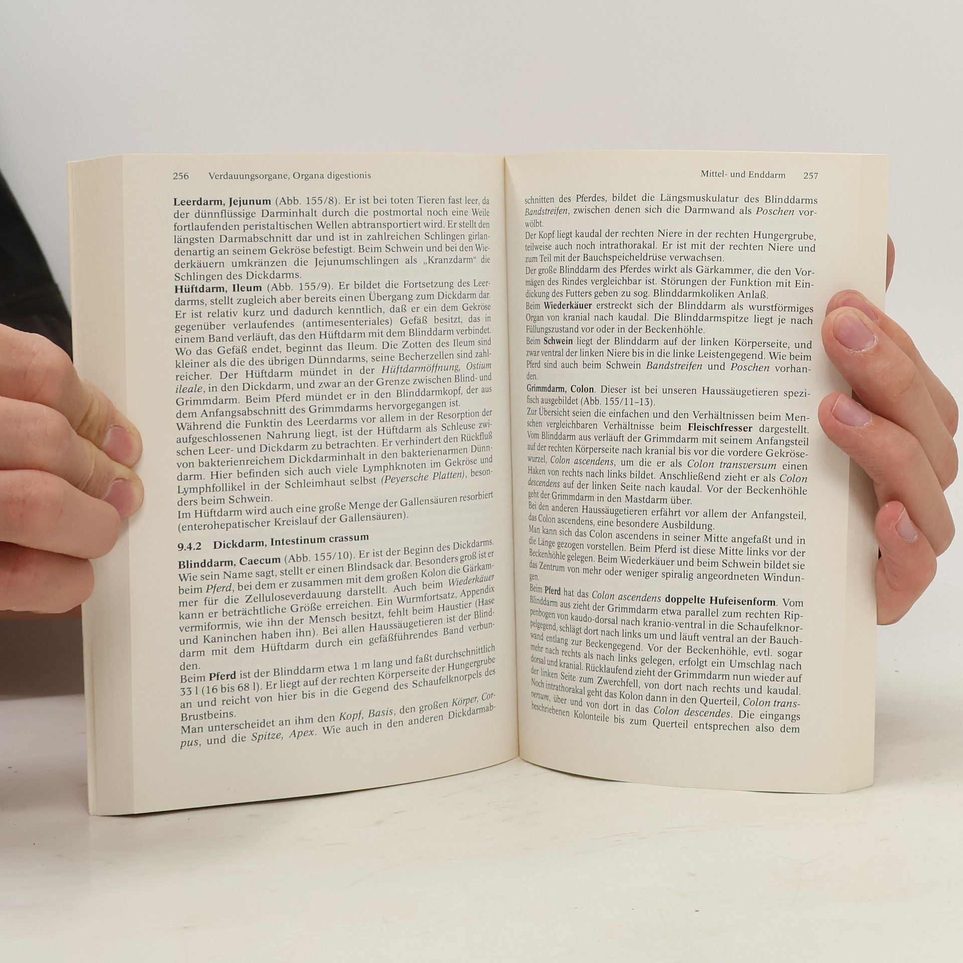 Klaus Loeffler Anatomie und Physiologie der Haustiere