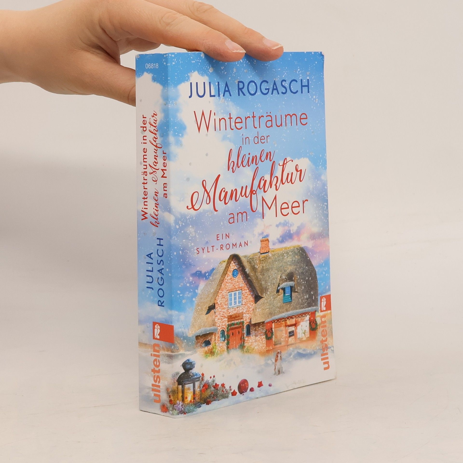 Julia Rogasch Winterträume in der kleinen Manufaktur am Meer