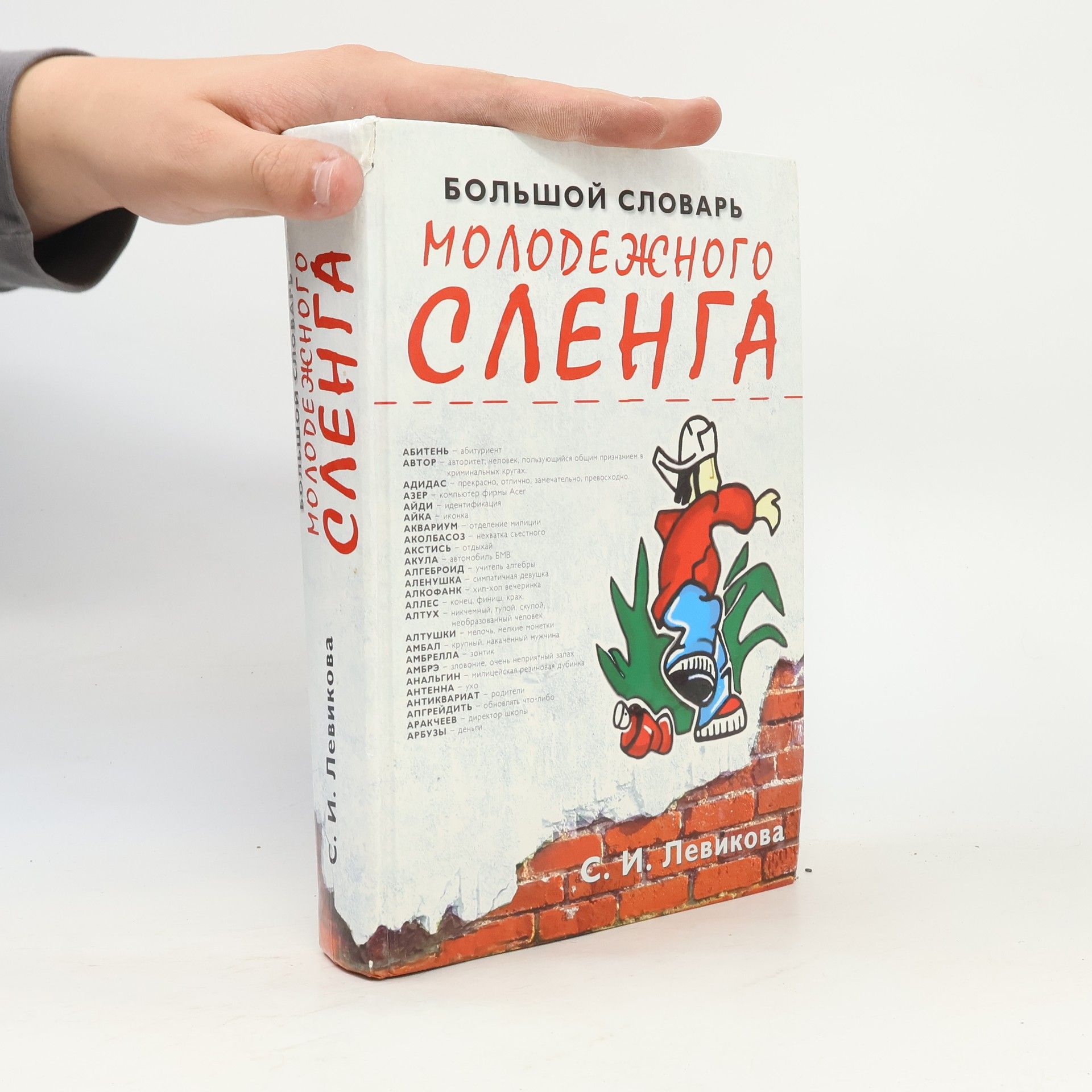 Светлана Игоревна Левикова Большой словарь молодежного сленга