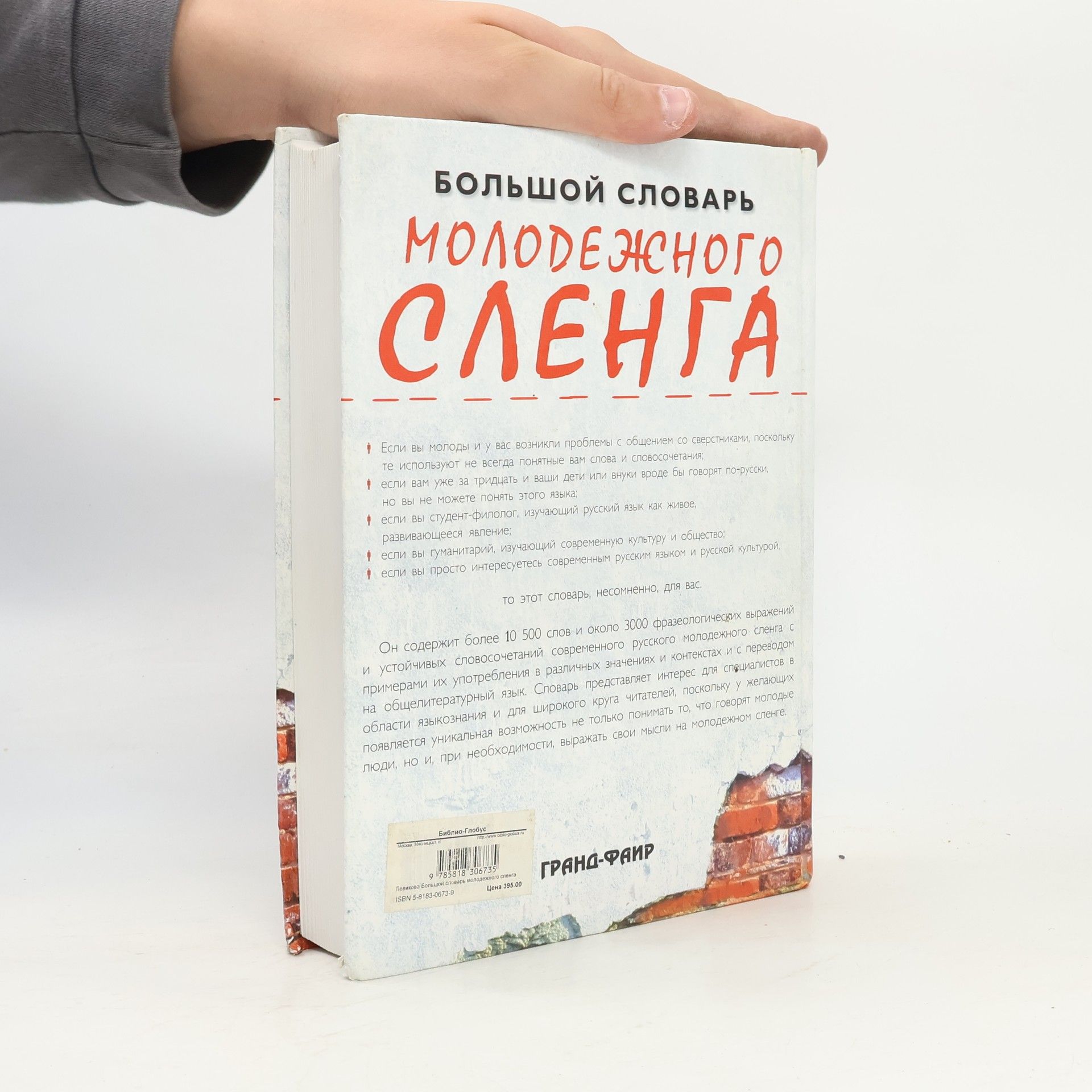 Светлана Игоревна Левикова Большой словарь молодежного сленга