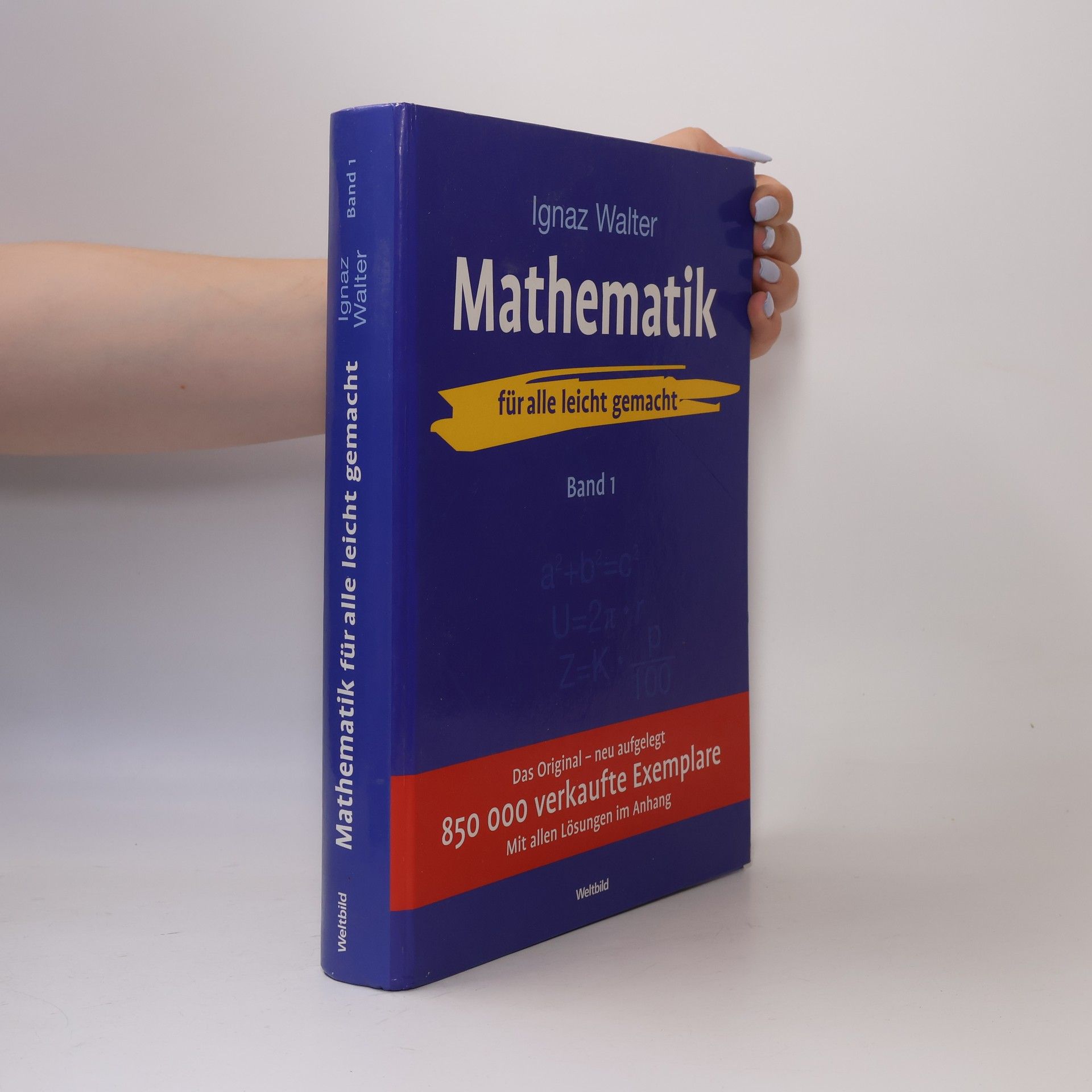 Ignaz Walter Mathematik Band 1 - für alle leicht gemacht