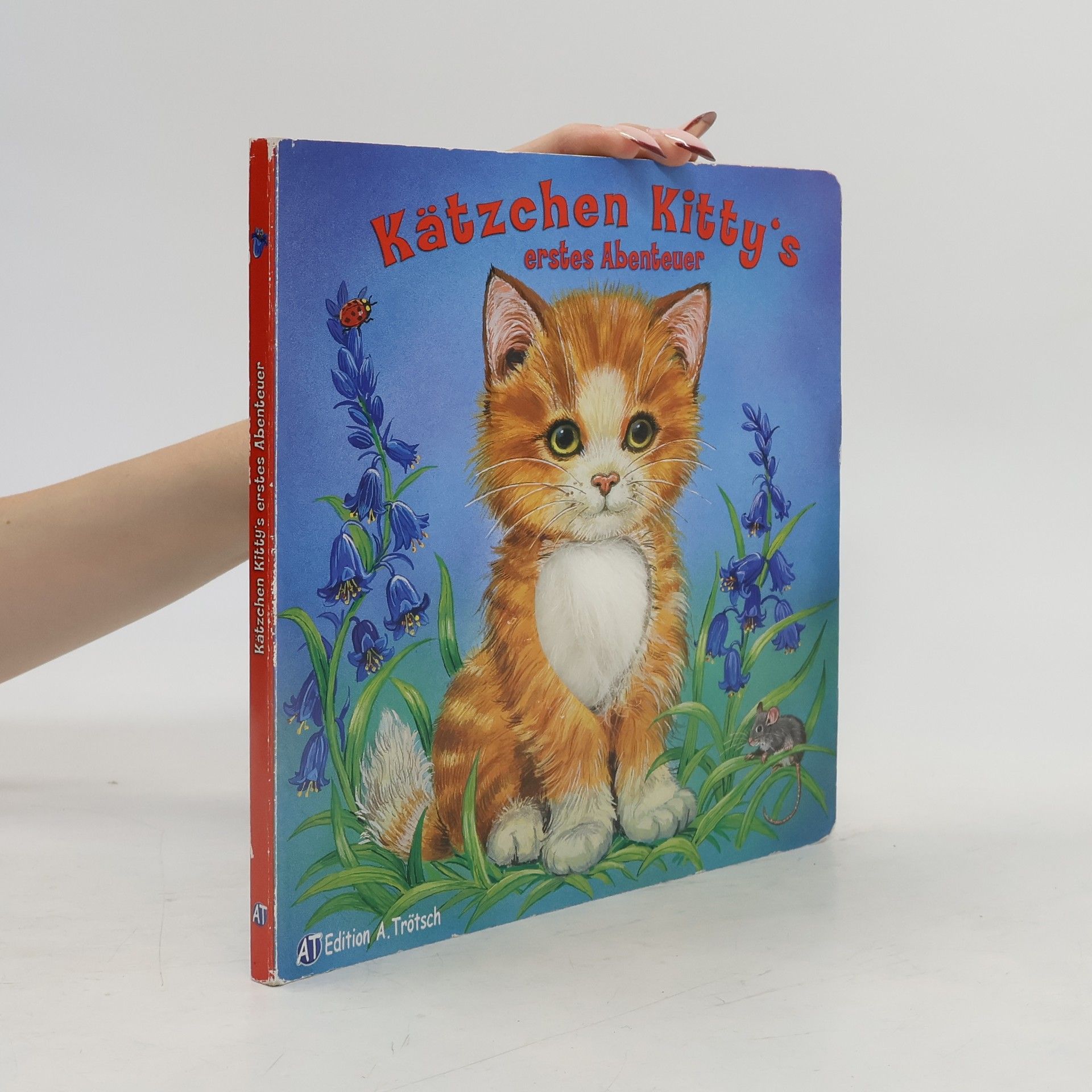 Ray Cresswell Kätzchen Kitty's erstes Abenteuer