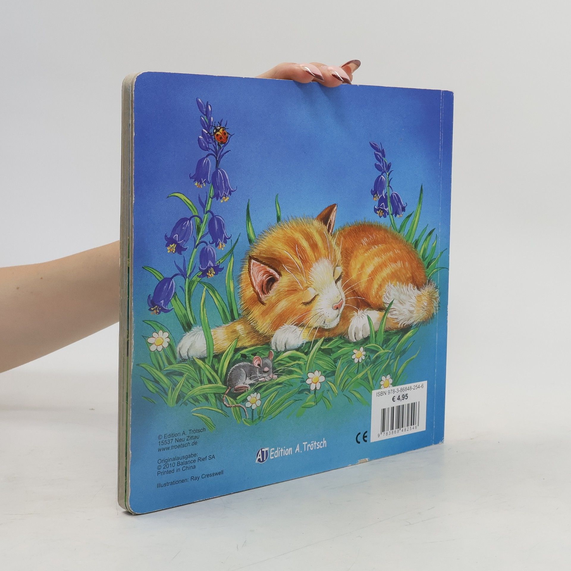 Ray Cresswell Kätzchen Kitty's erstes Abenteuer
