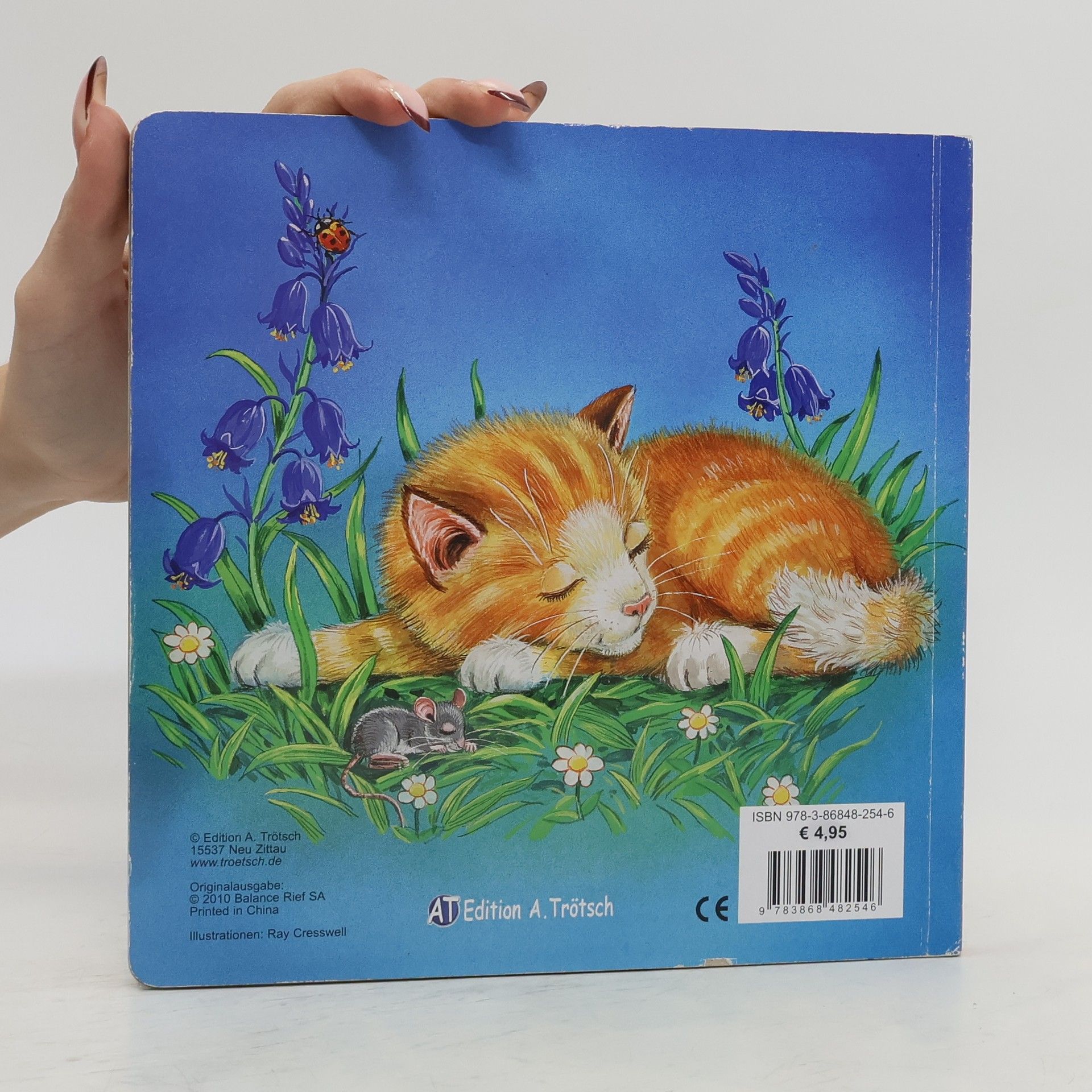 Ray Cresswell Kätzchen Kitty's erstes Abenteuer