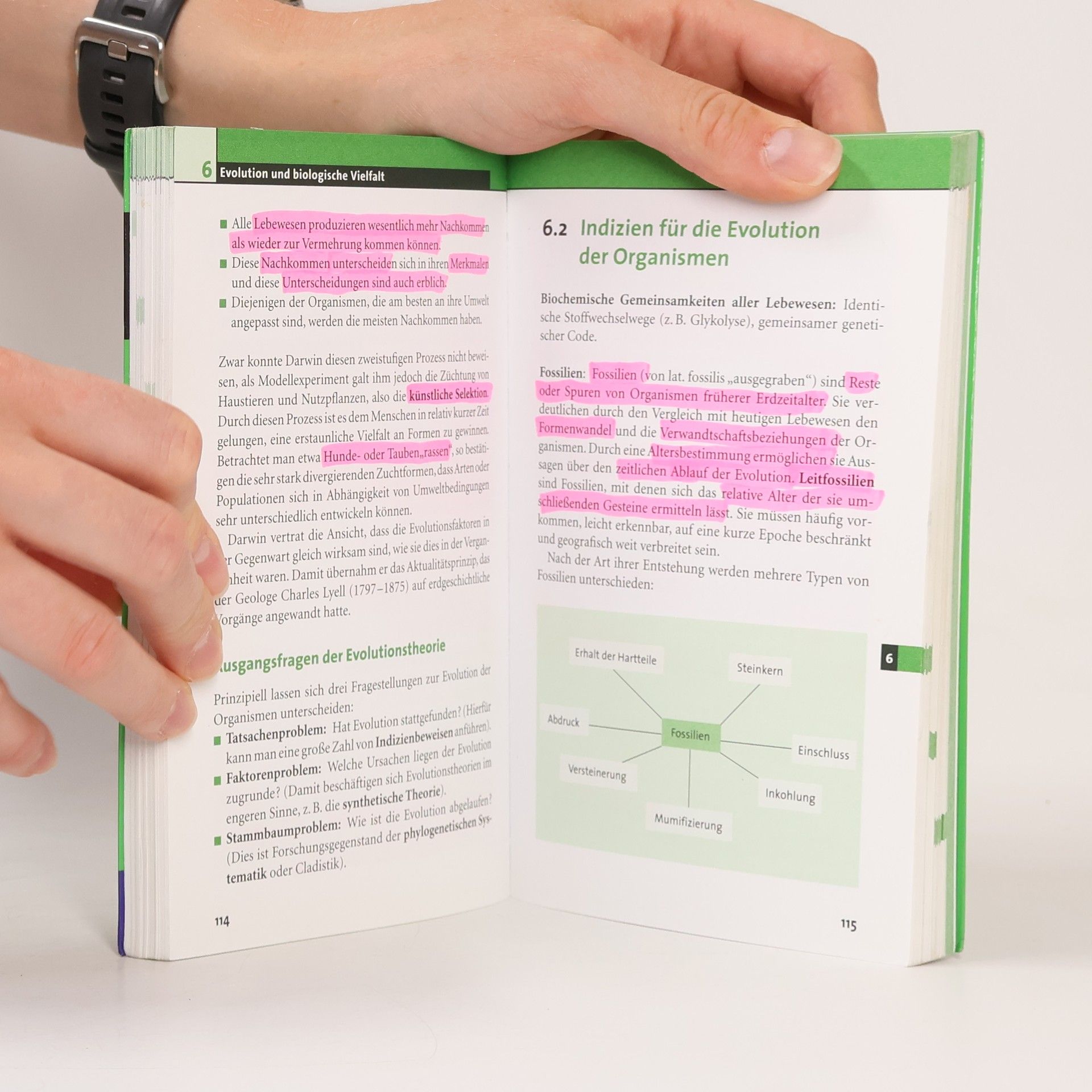 Autorenkollektiv Duden SMS: Abi Biologie