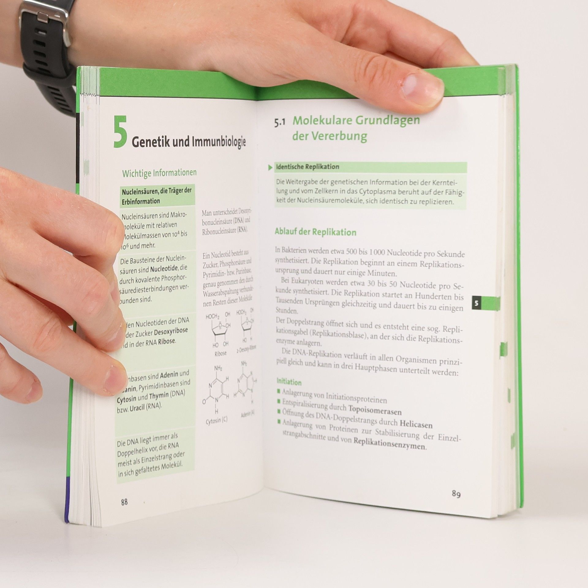 Autorenkollektiv Duden SMS: Abi Biologie