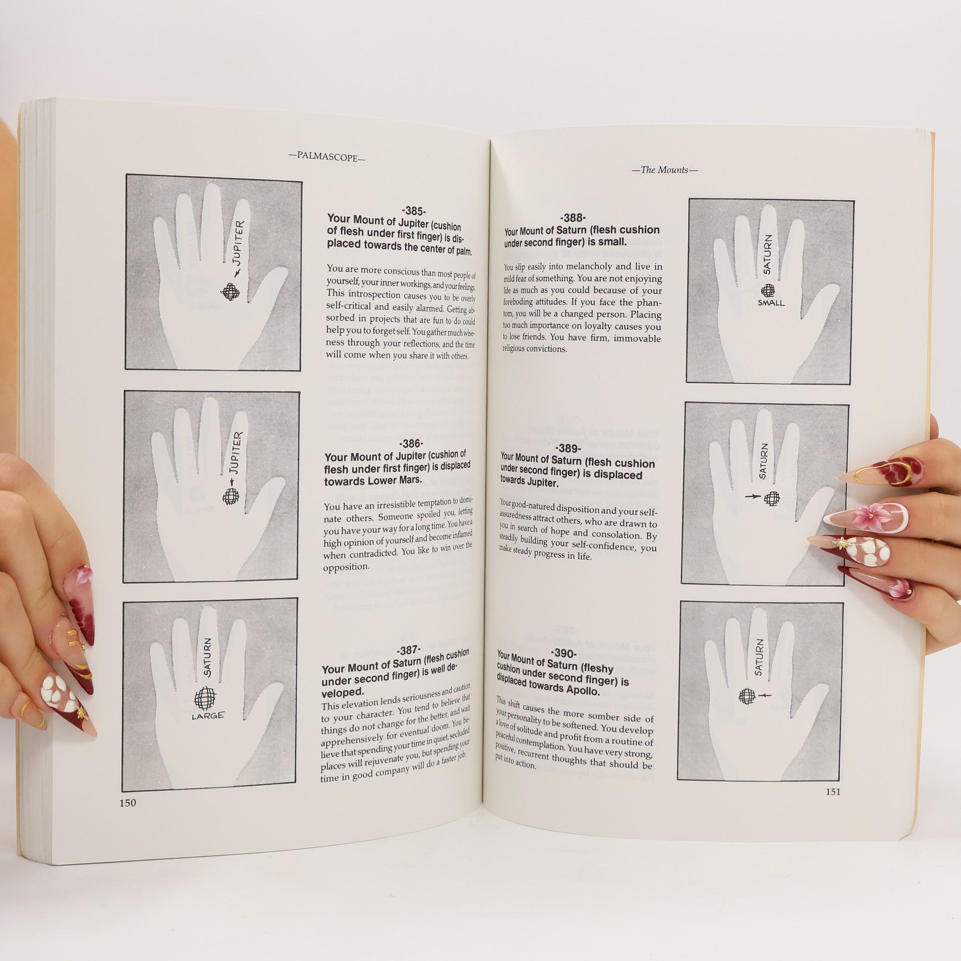 Linn Domin Llewellyn's New Age Series: Instant Palm Reader