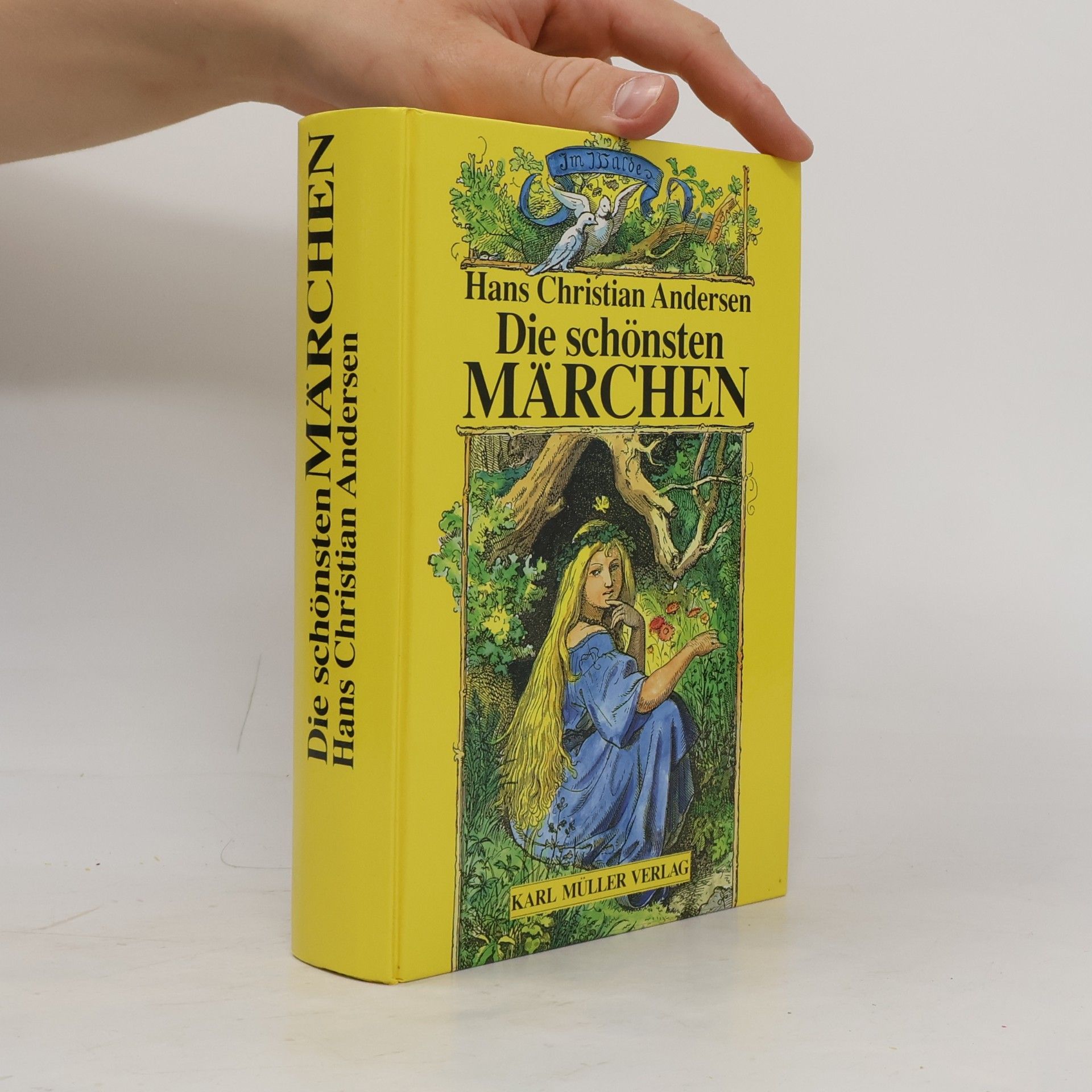 Hans Christian Andersen Gesammelte Märchen