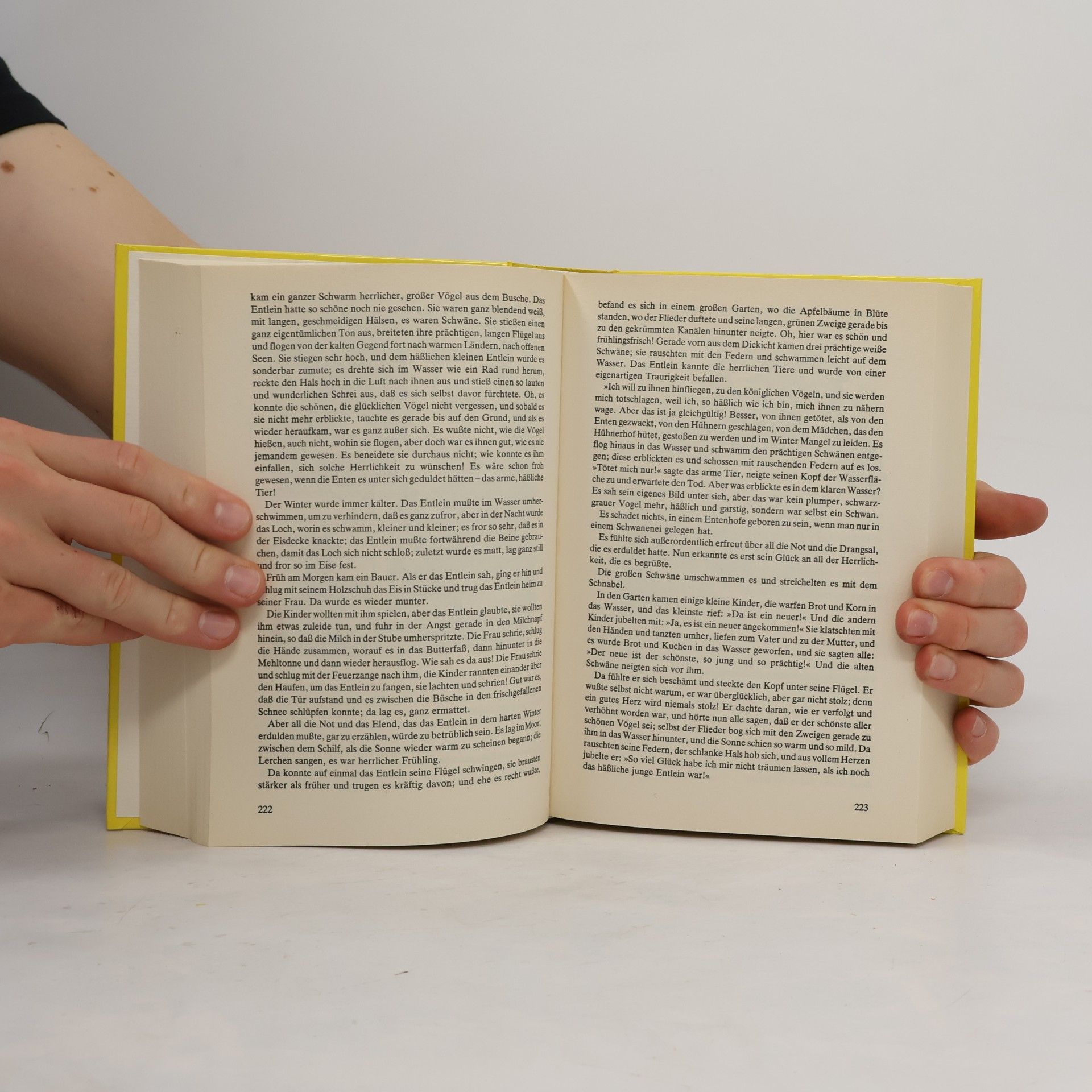 Hans Christian Andersen Gesammelte Märchen