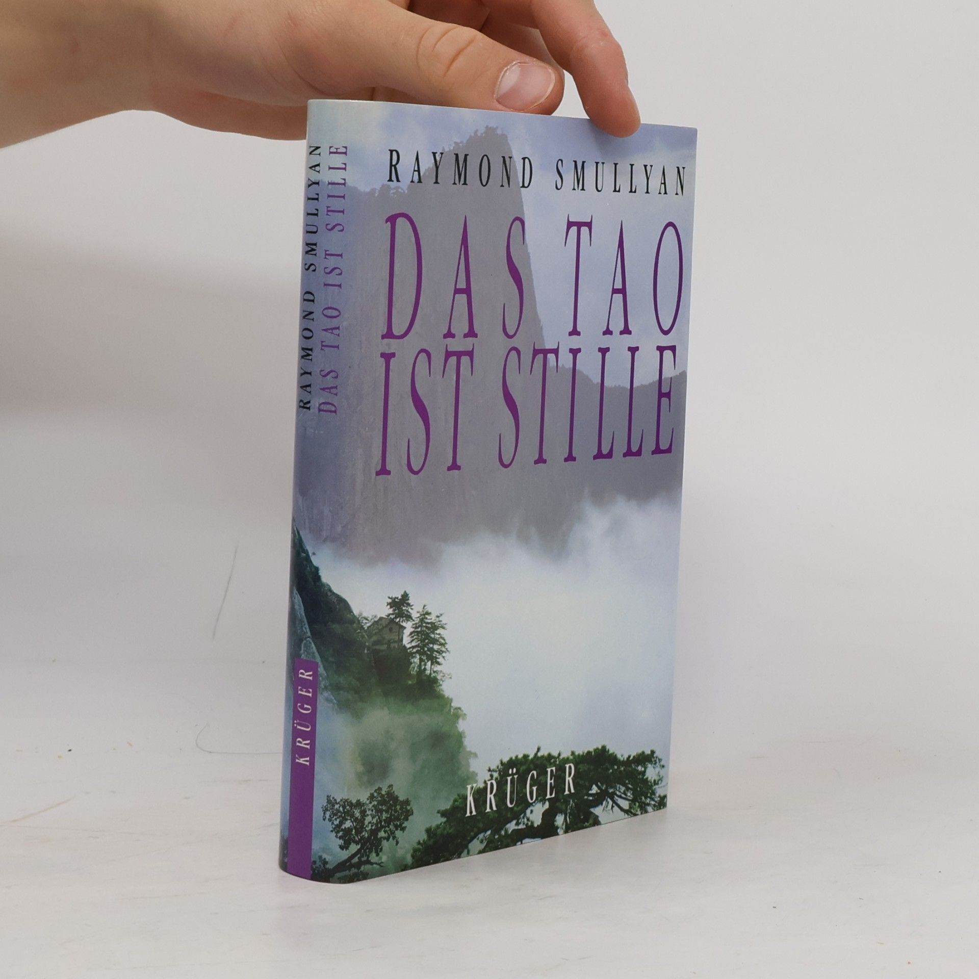 Raymond M. Smullyan Das Tao ist Stille