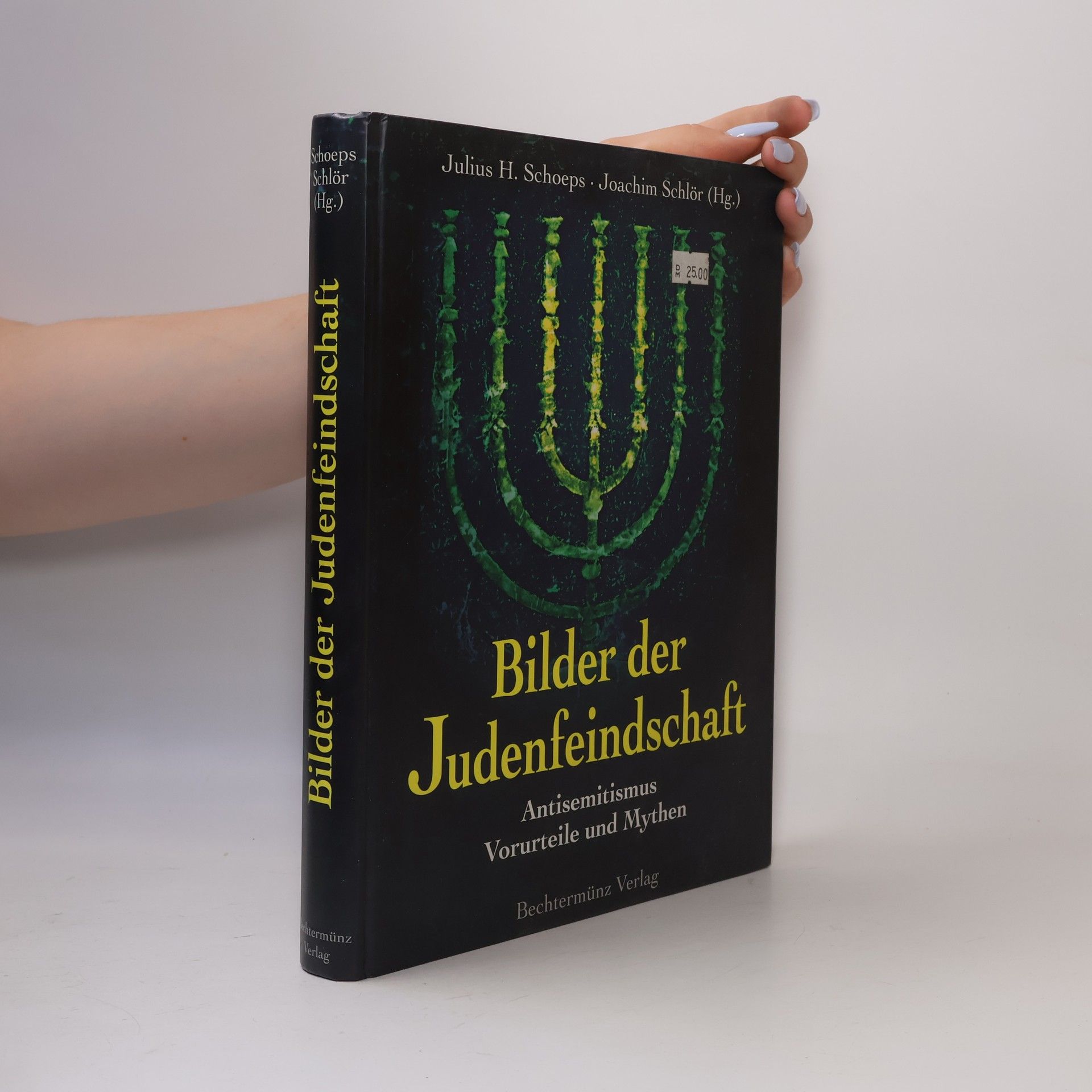 Julius H. Schoeps Bilder der Judenfeindschaft