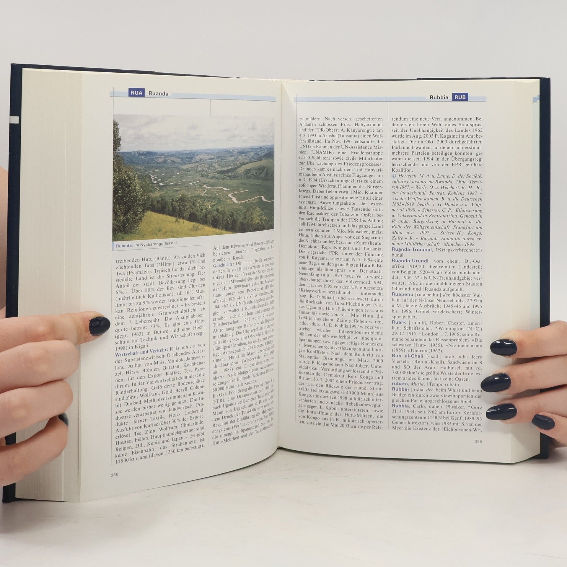 Autorenkollektiv Die Zeit - das Lexikon