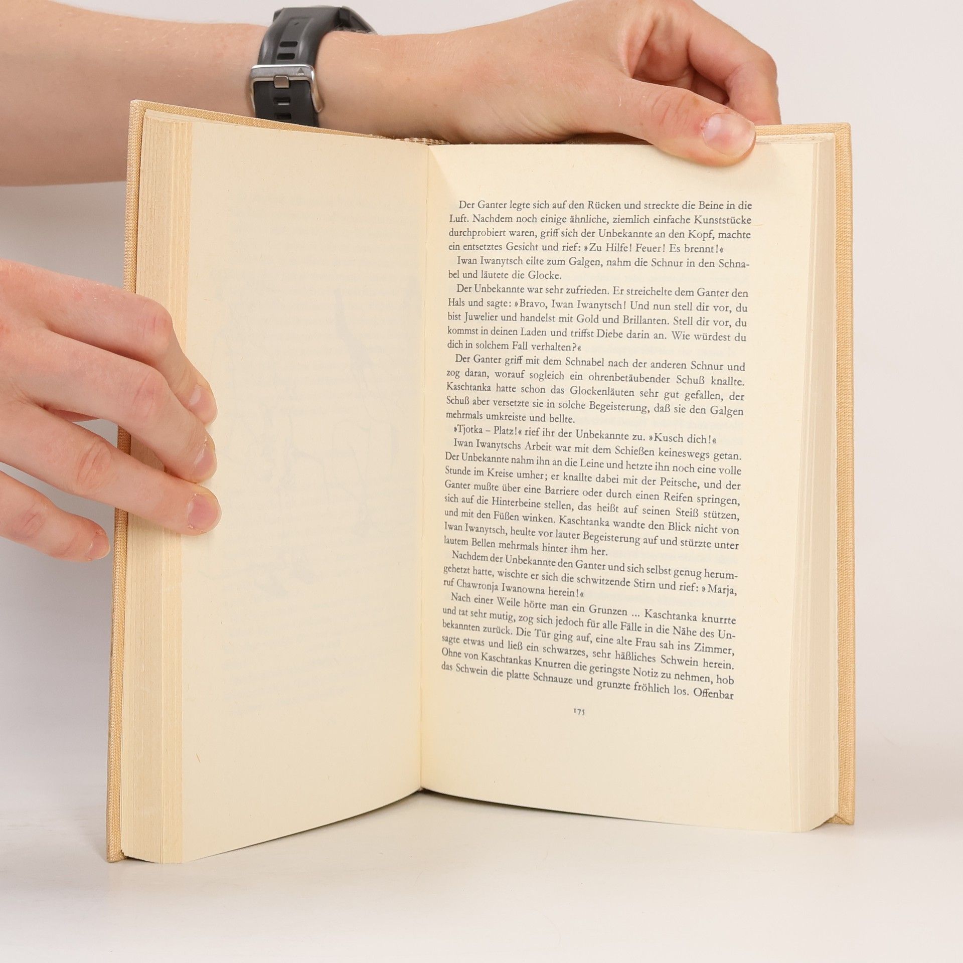Autorenkollektiv Die besten klassischen und modernen Hundegeschichten