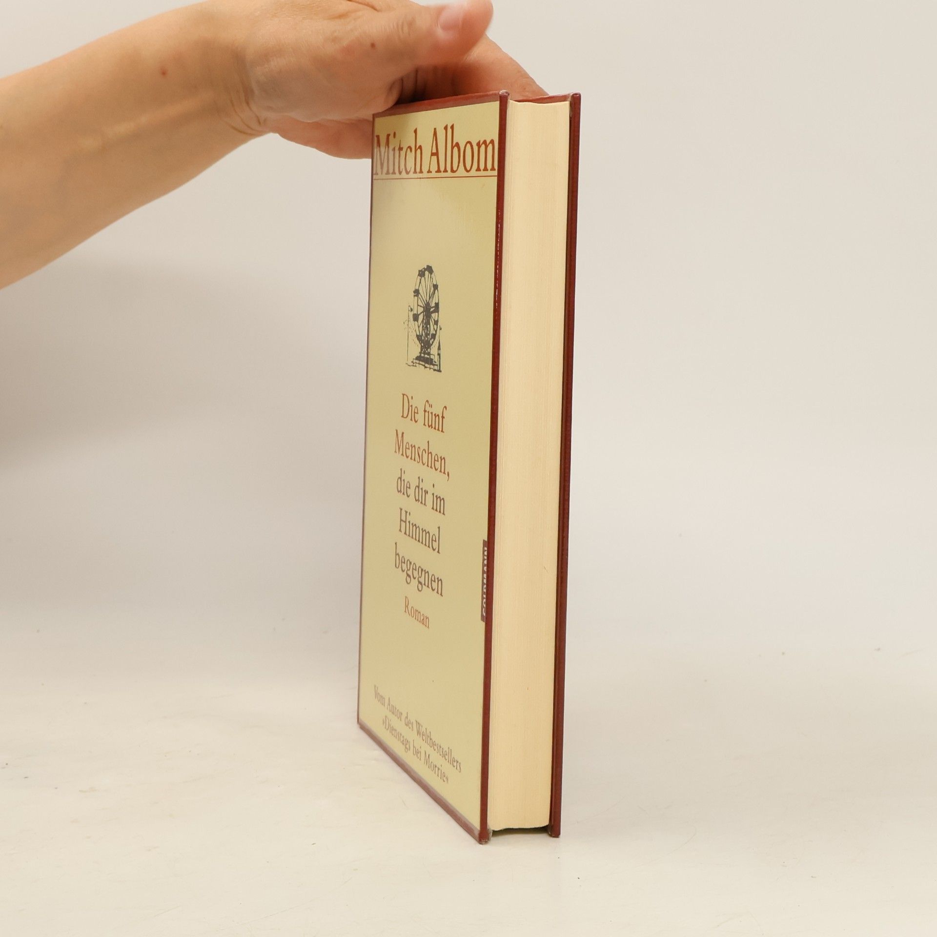 Mitch Albom Die fünf Menschen, die dir im Himmel begegnen