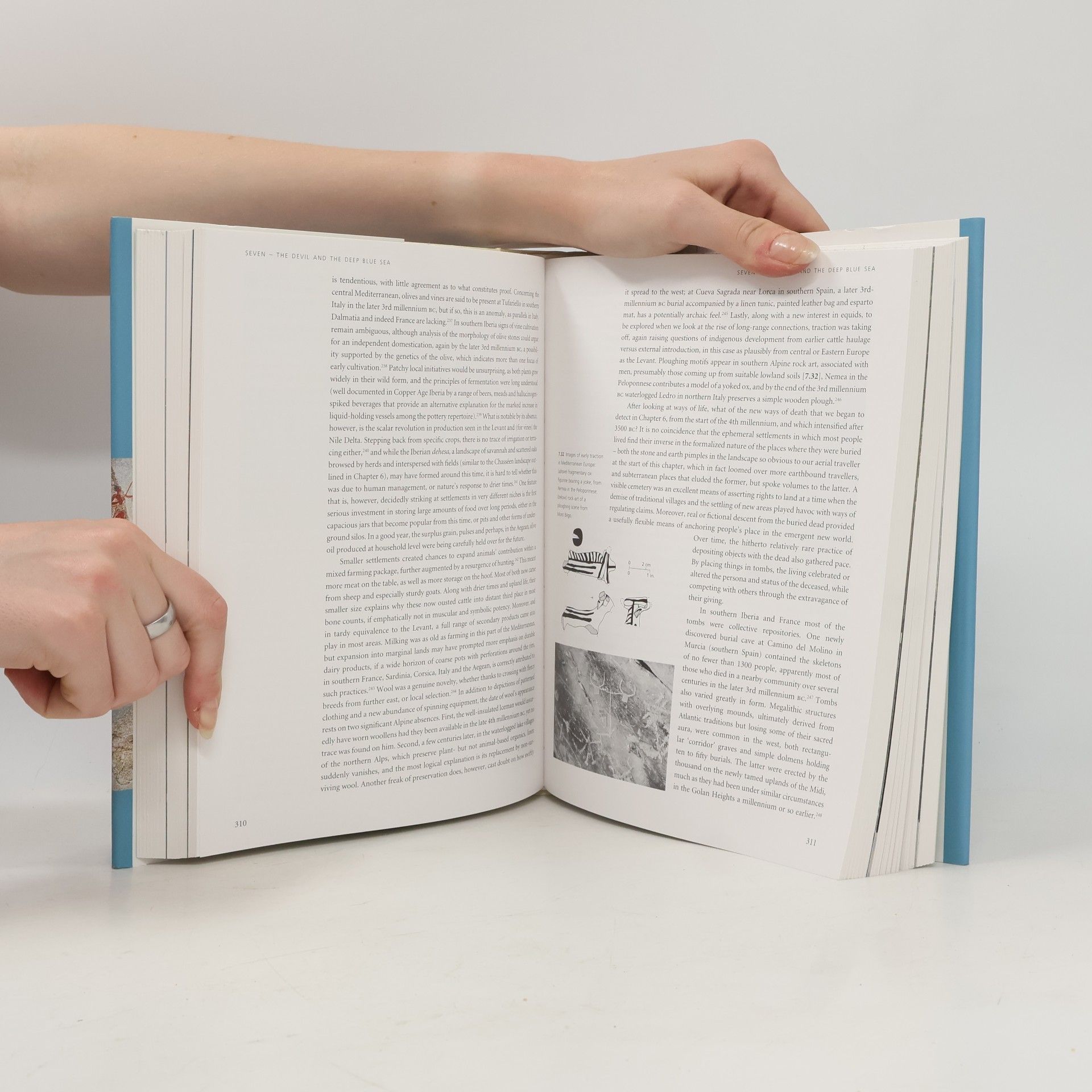 Cyprian Broodbank The Making of the Middle Sea
