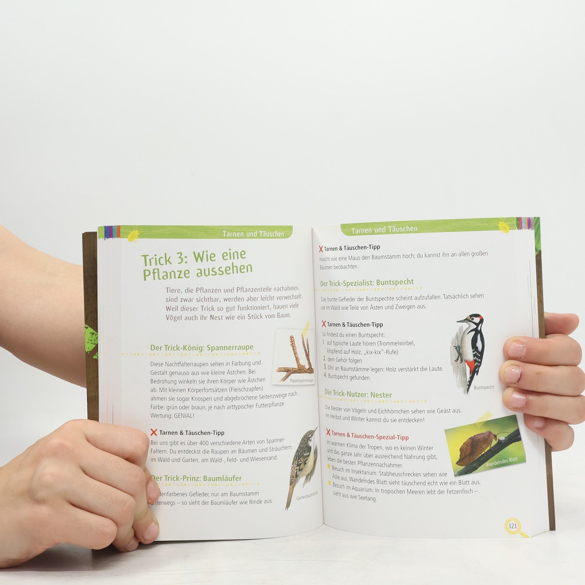 Bärbel Oftring Das große Outdoor-Abenteuerbuch
