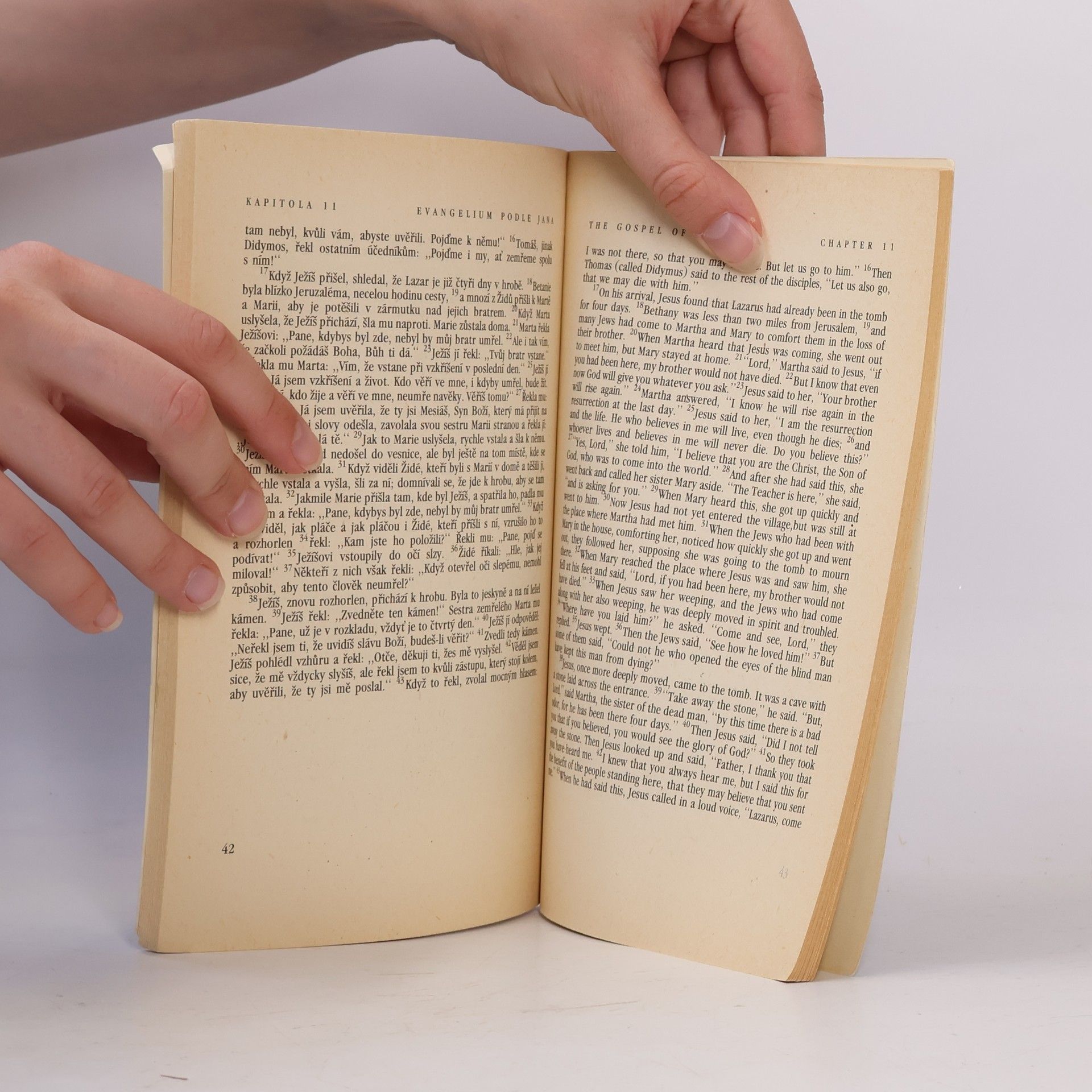 Autores varios Evangelium podle Jana. The Gospel of John