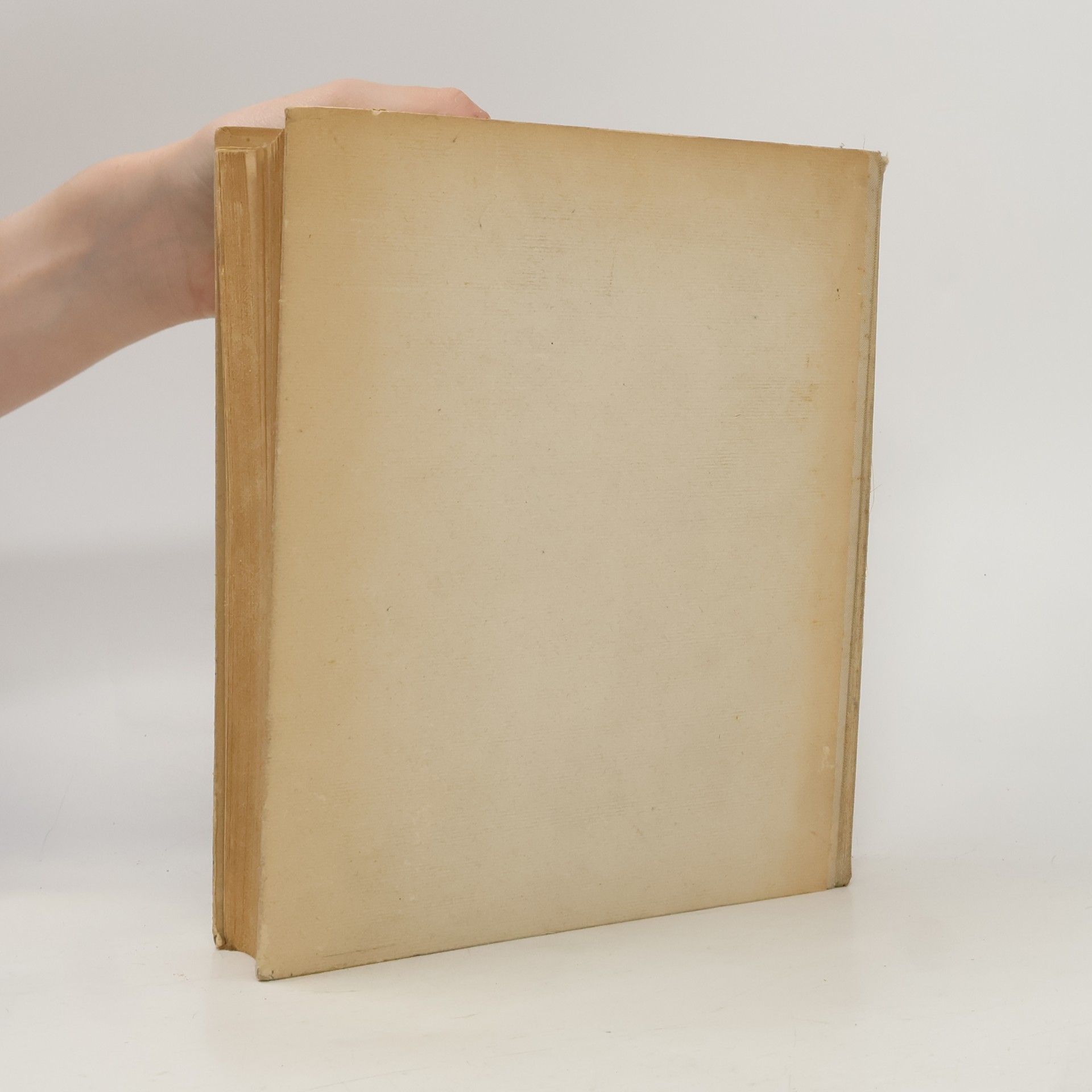 Jacob Burckhardt Geschichte der italienischen Renaissance