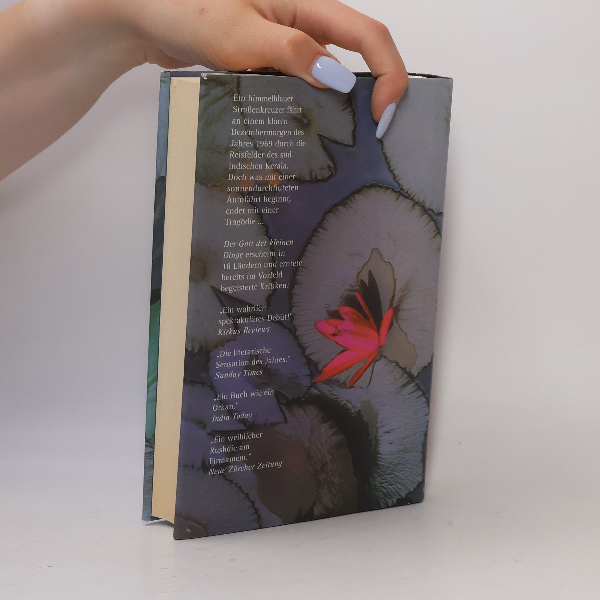 Arundhati Roy Der Gott der Kleinen Dinge