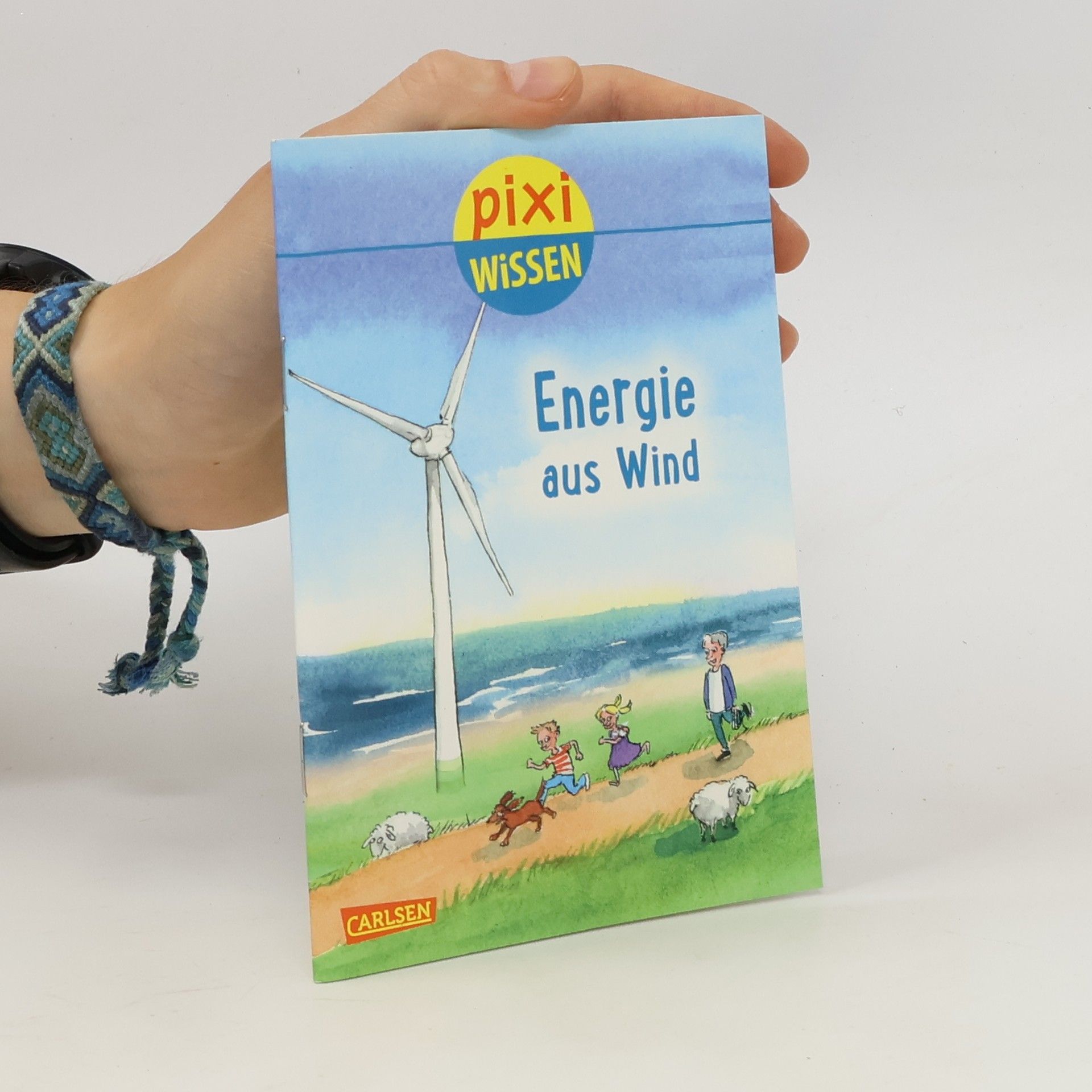 Autorenkollektiv Energie aus Wind