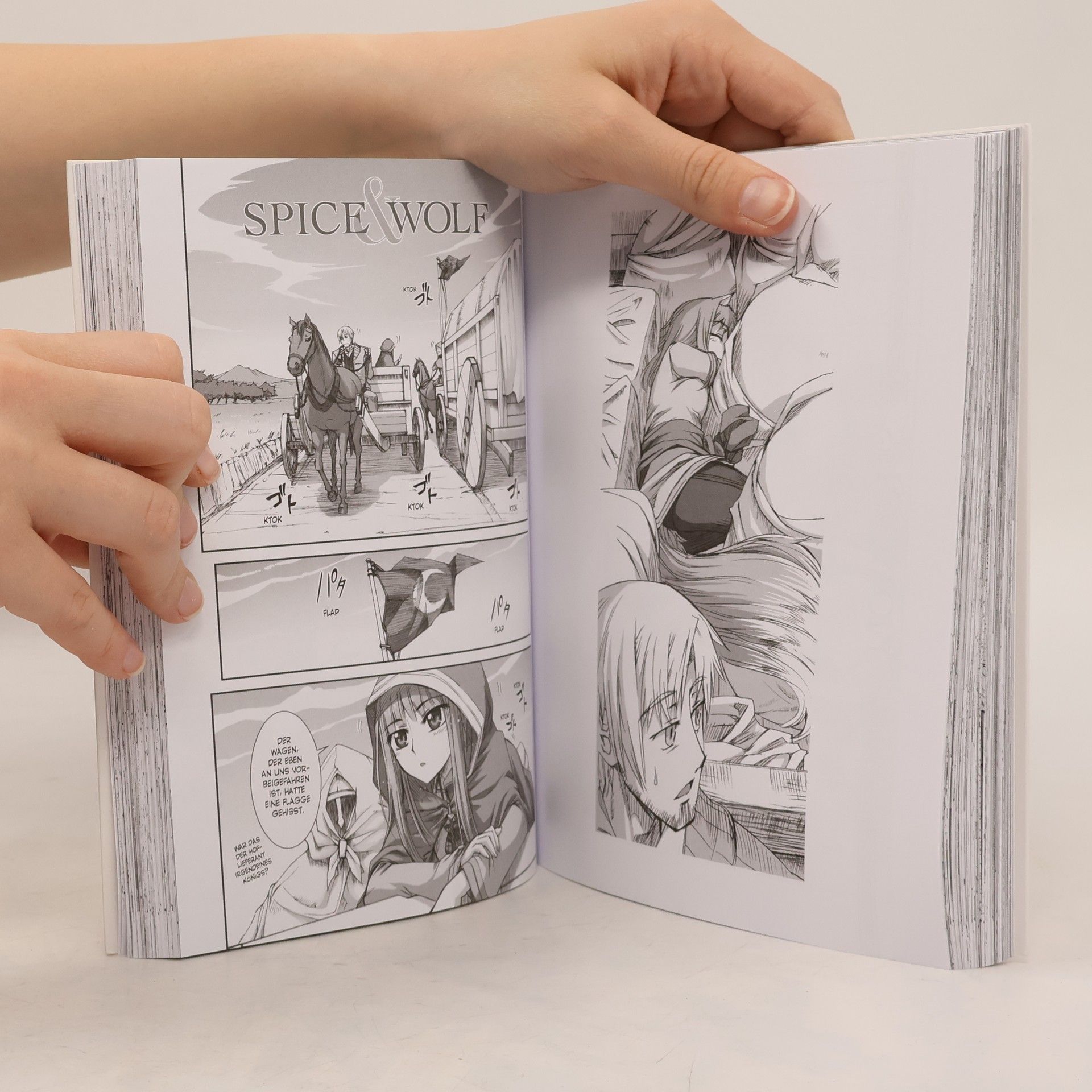 Isuna Hasekura Spice & Wolf Deluxe 02