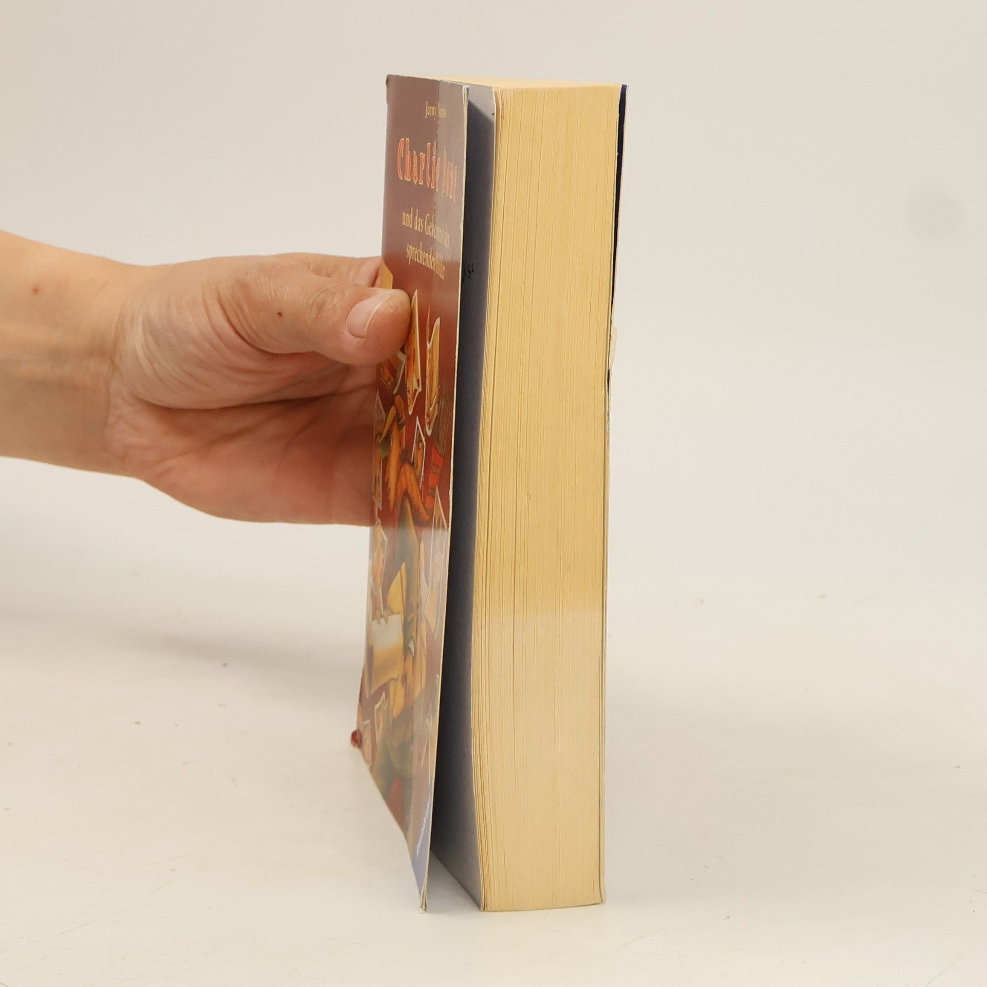 Jenny Nimmo Charlie Bone und das Geheimnis der sprechenden Bilder