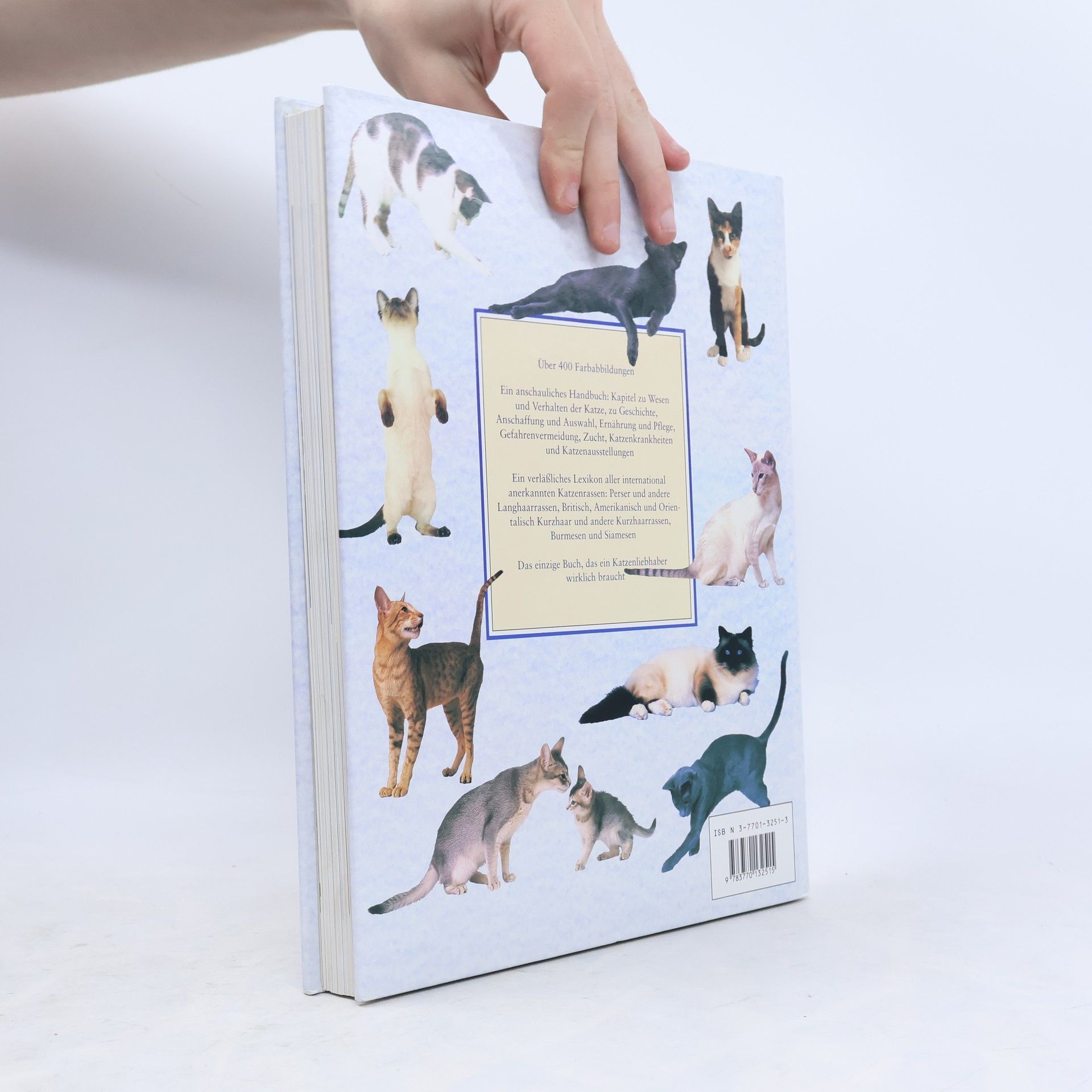 Paddy Cutts Dumont's grosses Katzenbuch