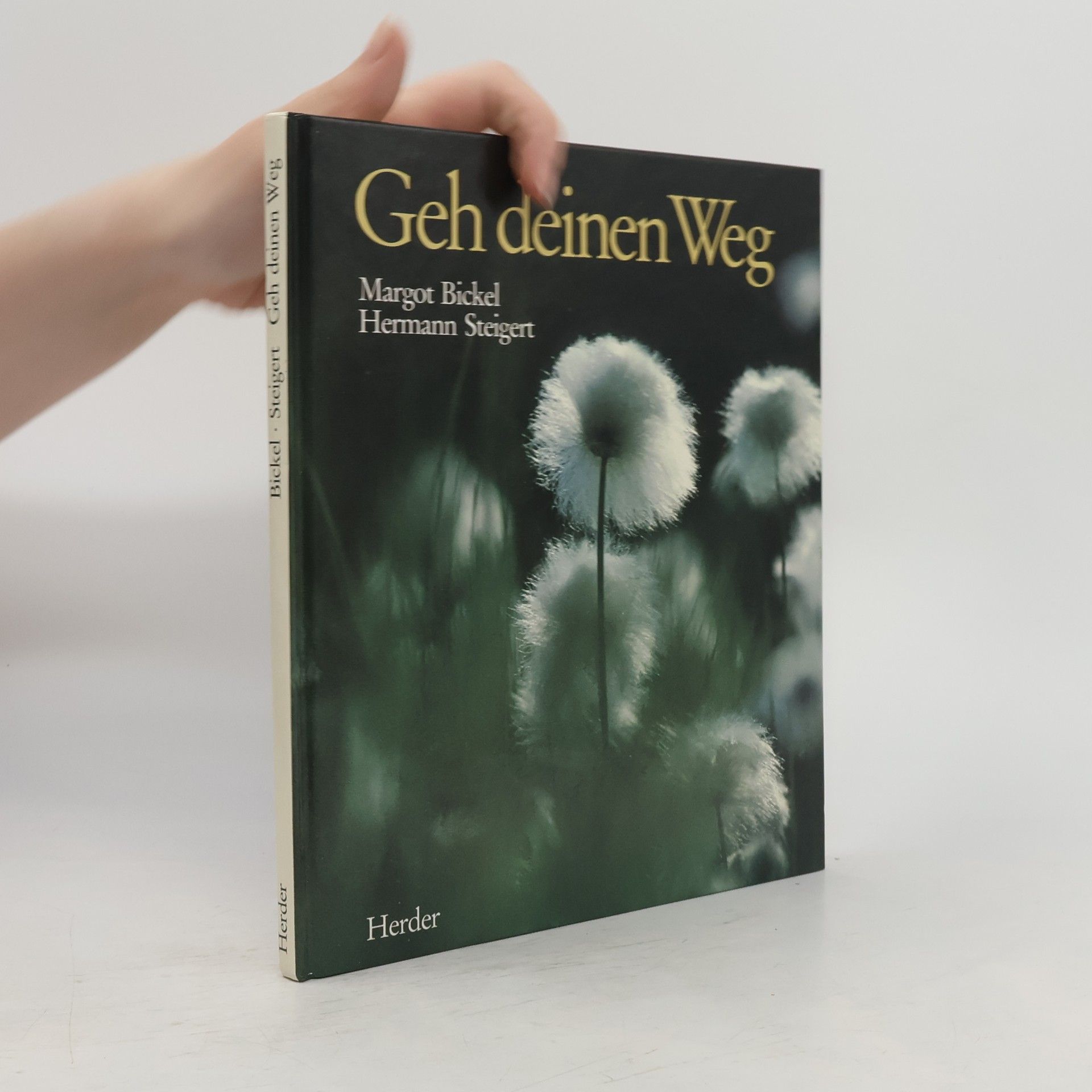 Hermann Steigert Geh deinen Weg