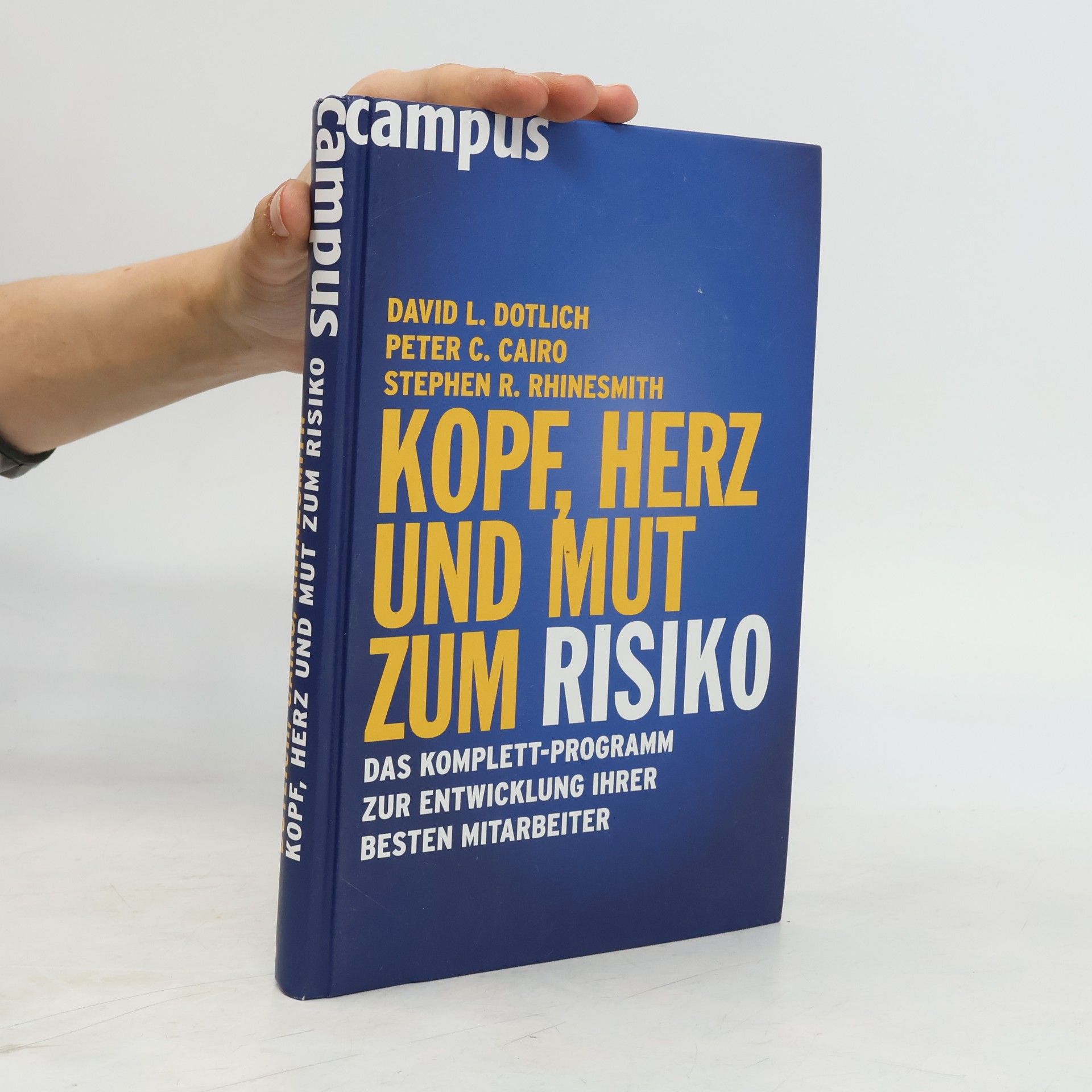 Stephen R. Rhinesmith Kopf, Herz und Mut zum Risiko