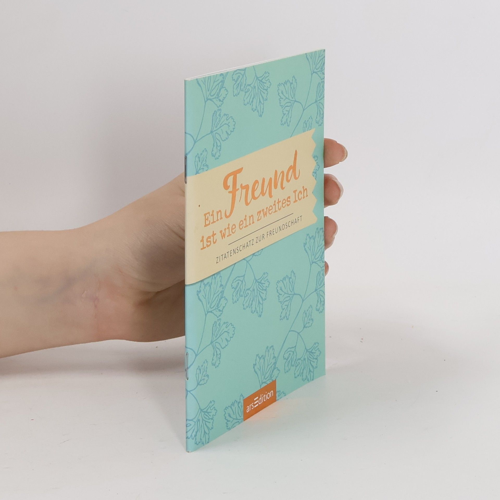 Various authors Gib der Seele einen Sonntag