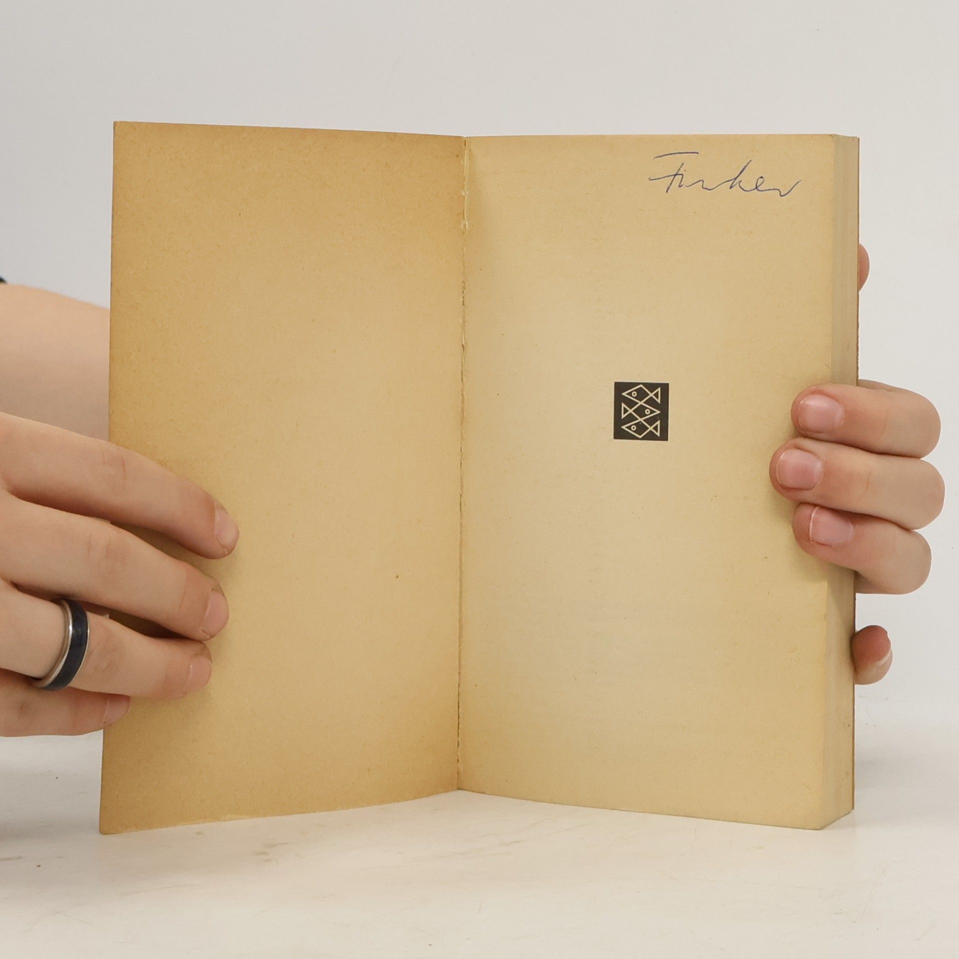Peter Hegel Hegel. Studien Ausgabe 2