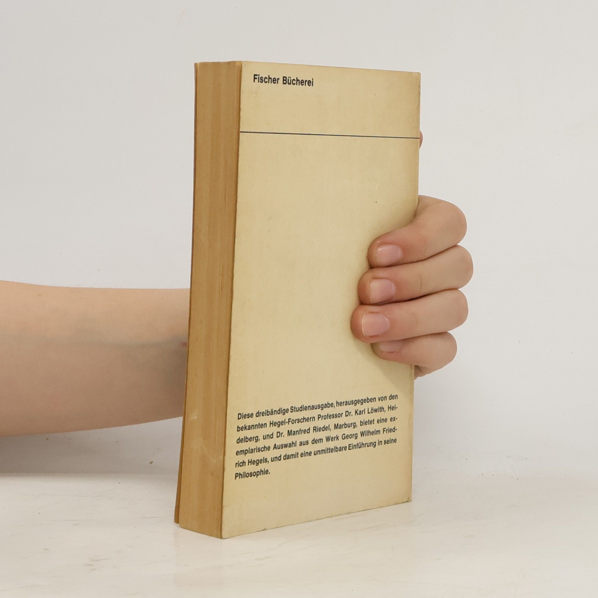 Peter Hegel Hegel. Studien Ausgabe 2