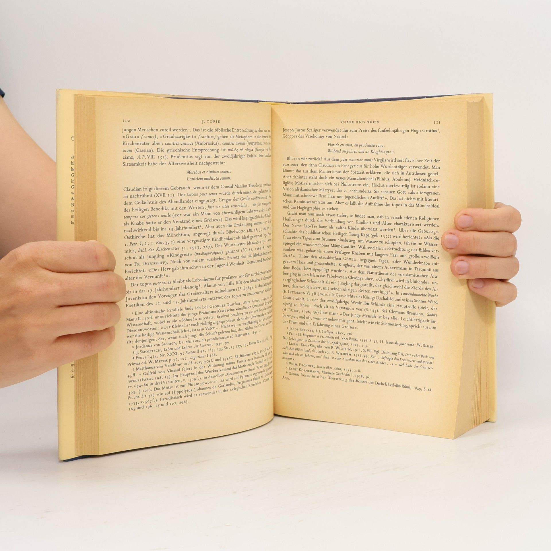 Ernst Robert Curtius Europäische Literatur und Lateinisches Mittelalter