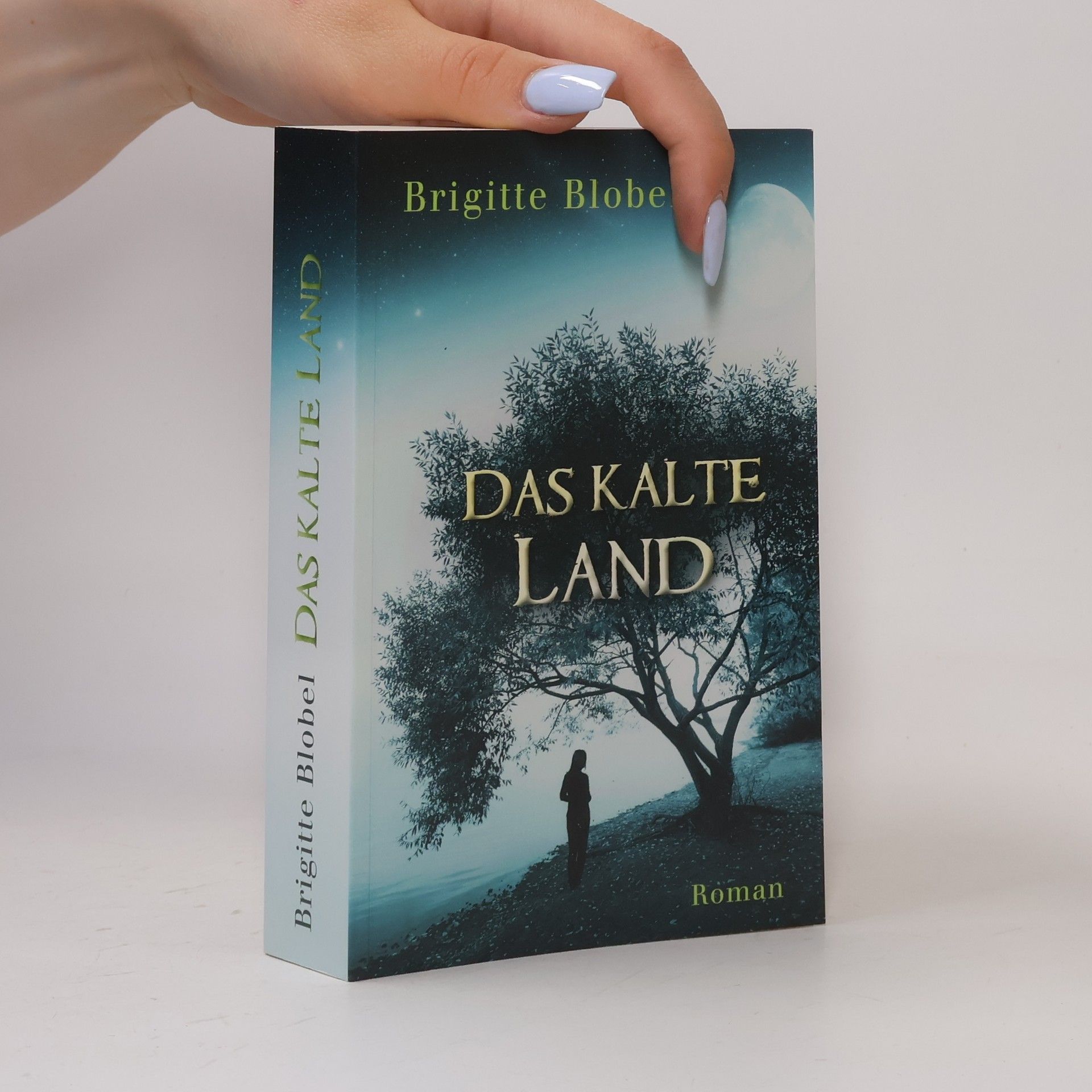 Brigitte Blobel Das kalte Land