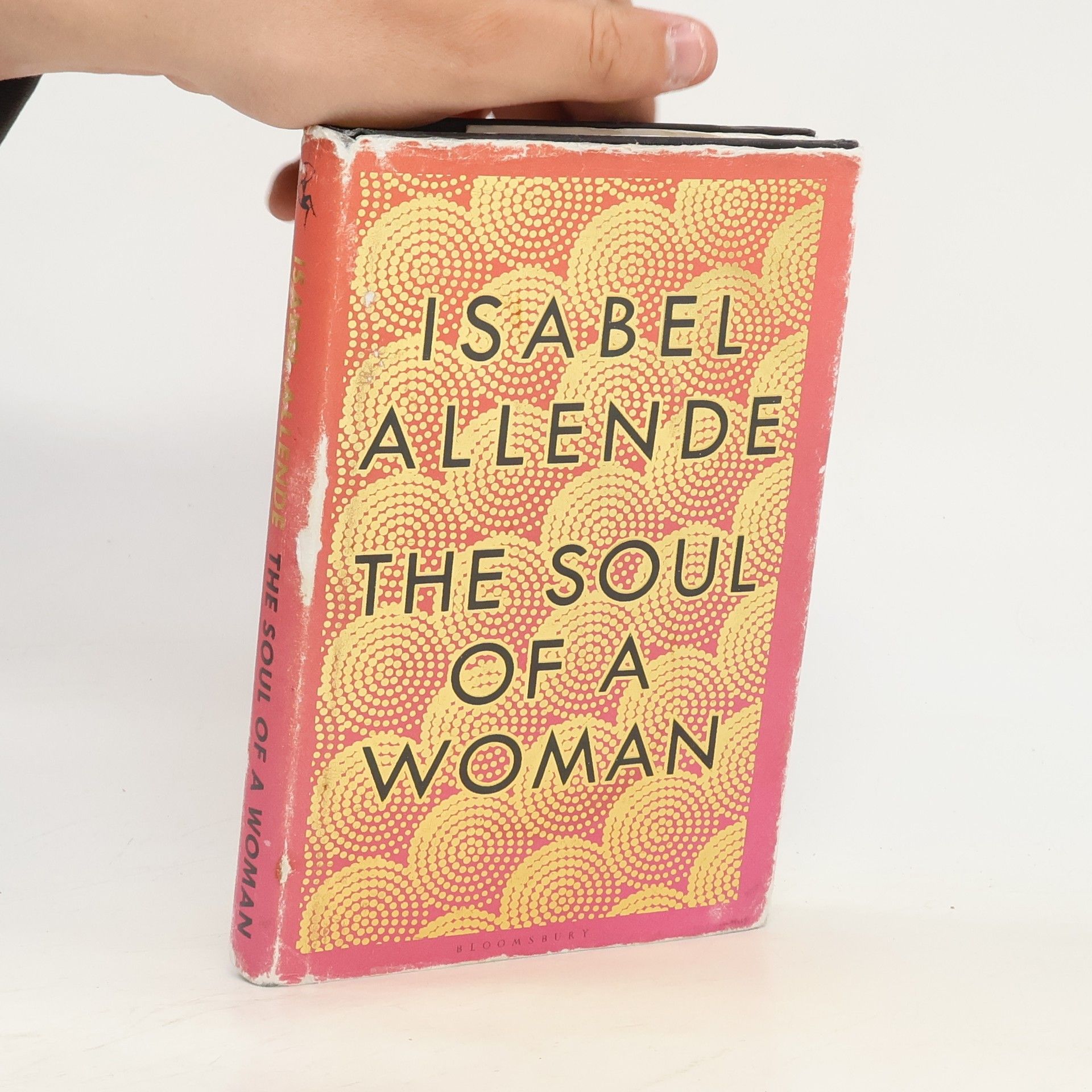 Isabel Allende Llona The Soul of a Woman