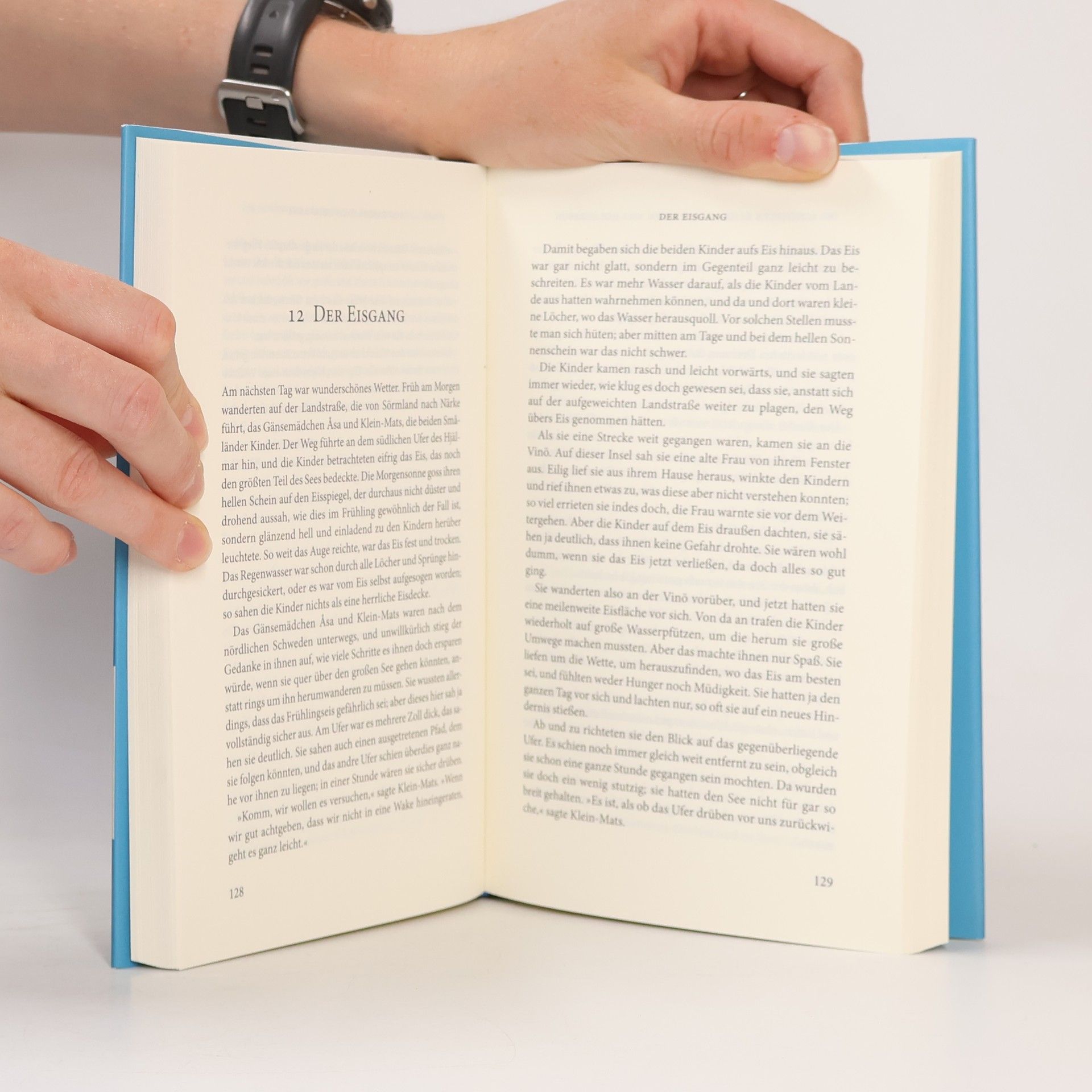 Selma Lagerlöf Die schönsten Reisen des kleinen Nils Holgersson