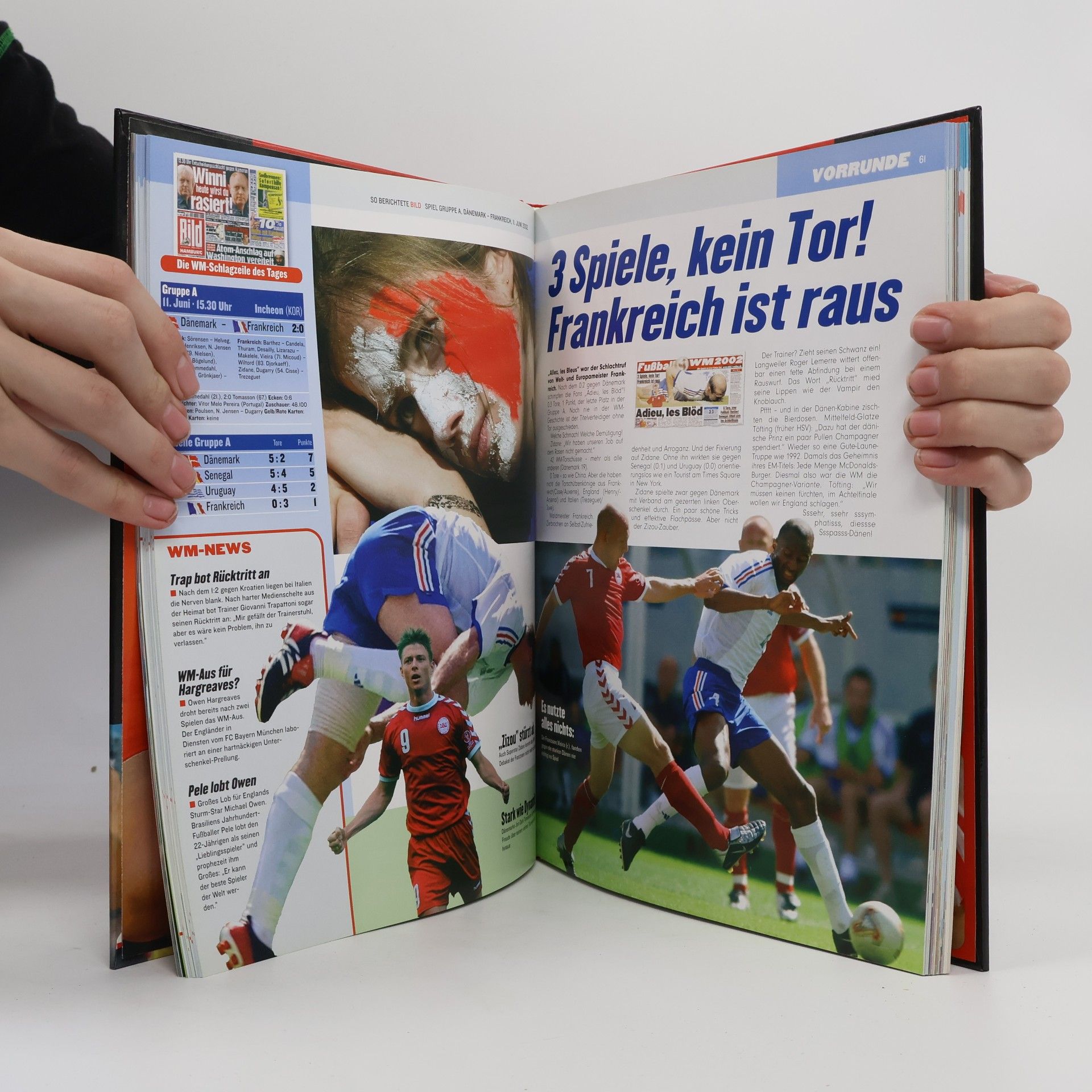 Kolektiv autorů Fußball-WM 2002