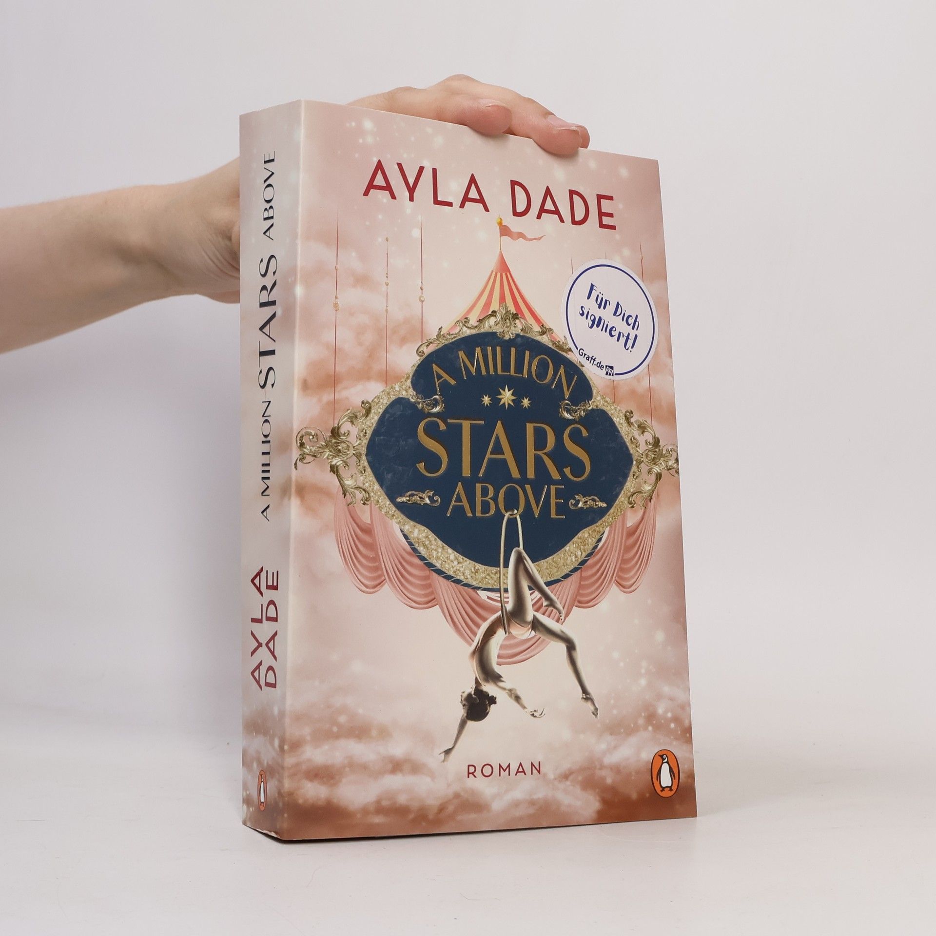 Ayla Dade A Million Stars Above / Sky Circus Bd.1