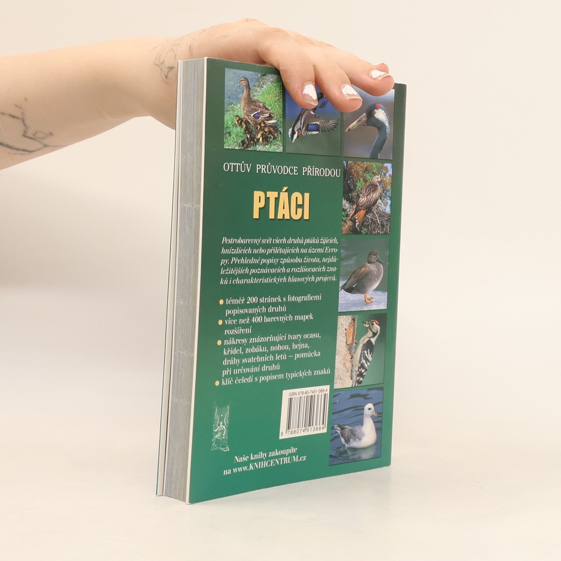 Alena Červená Ptáci - Ottův průvodce přírodou