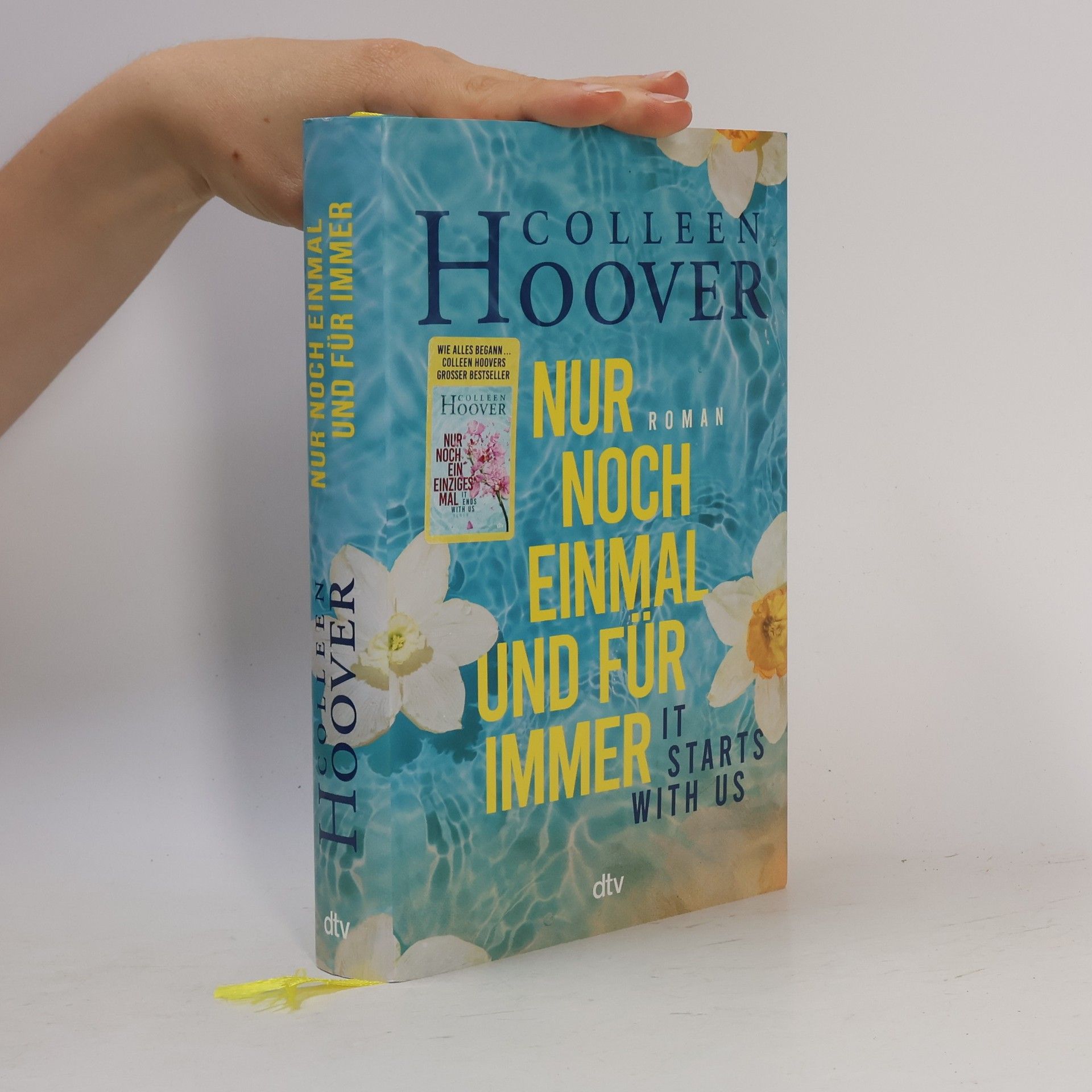 Colleen Hoover Nur noch einmal und für immer