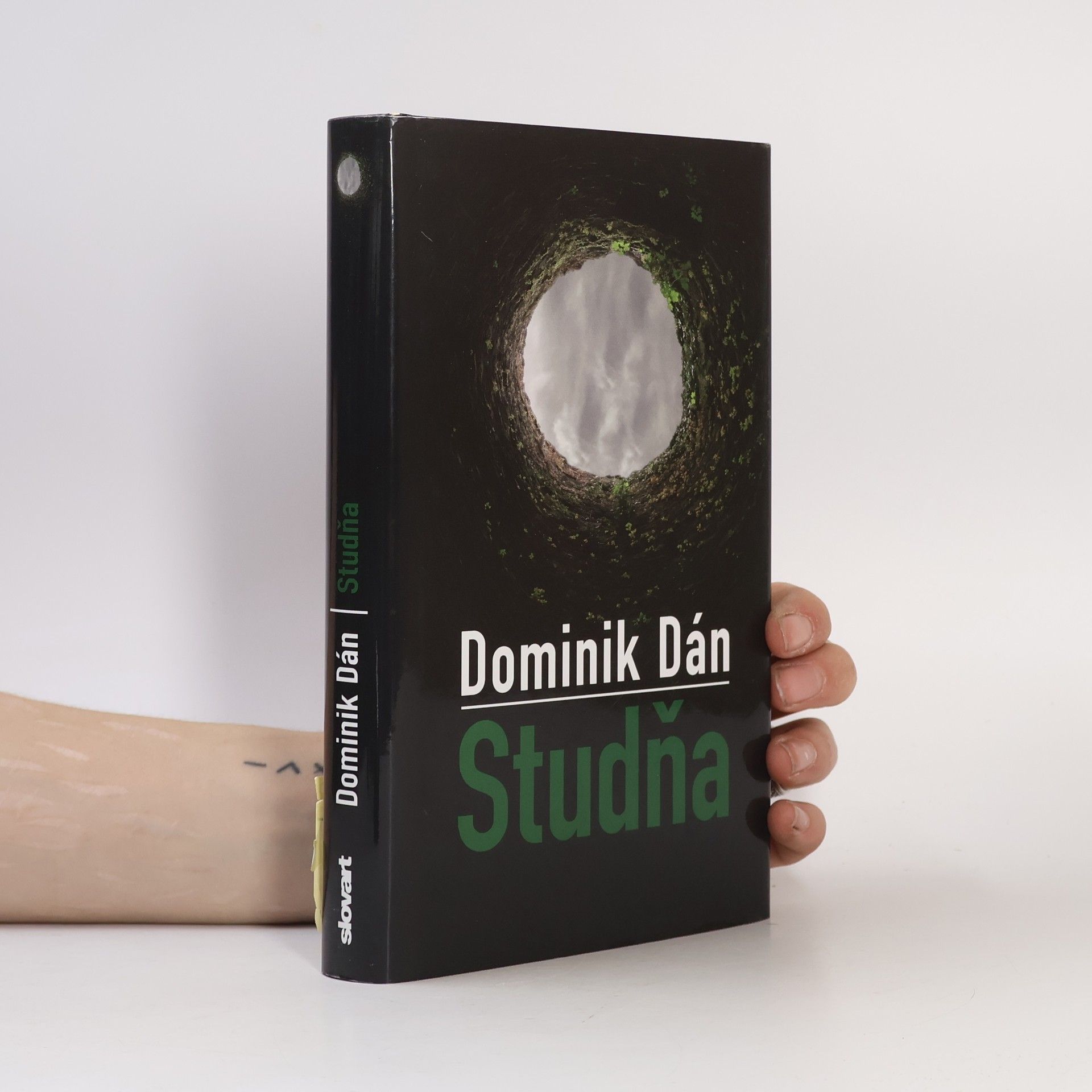 Dominik Dán Studňa