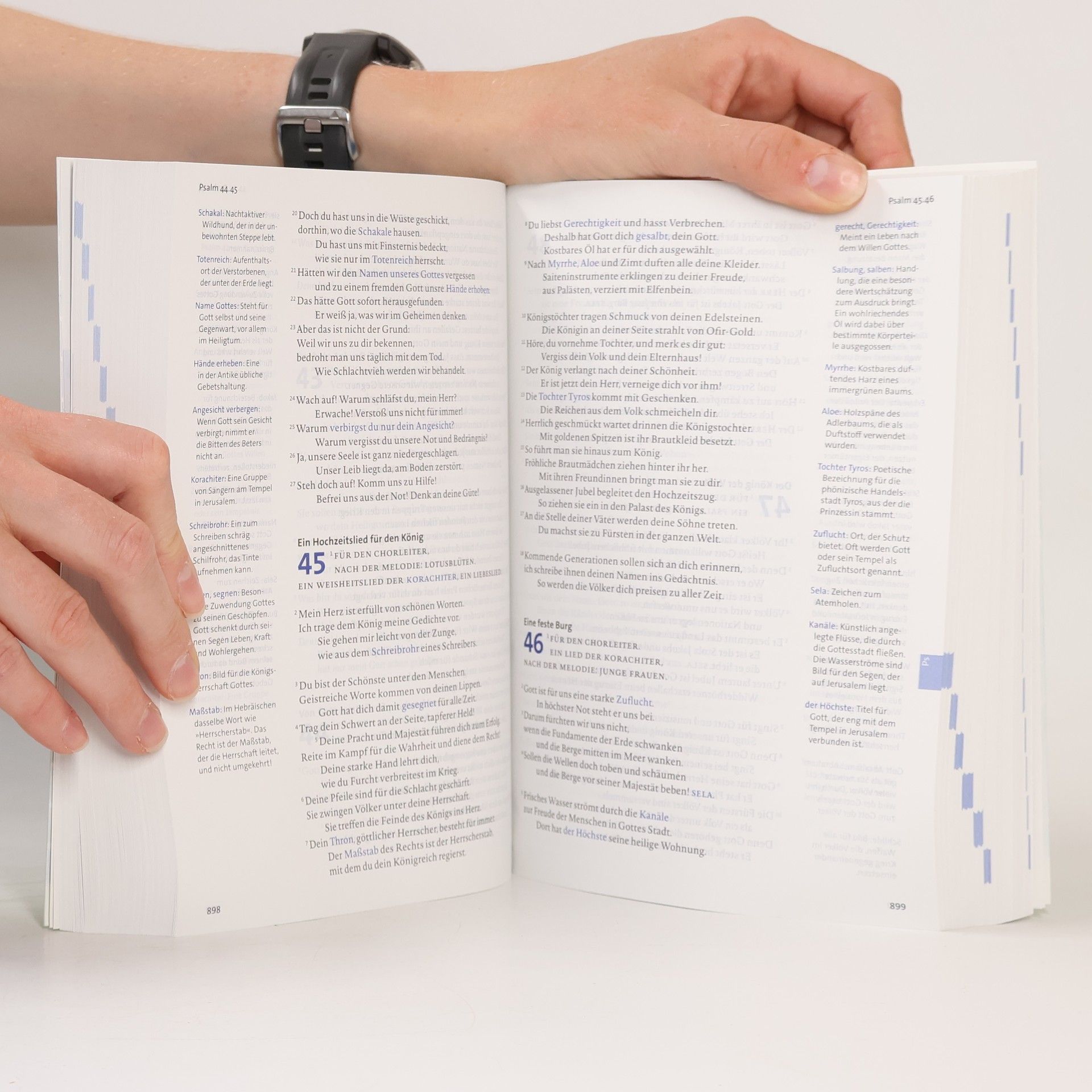 Autorenkollektiv BasisBibel, Altes und Neues Testament